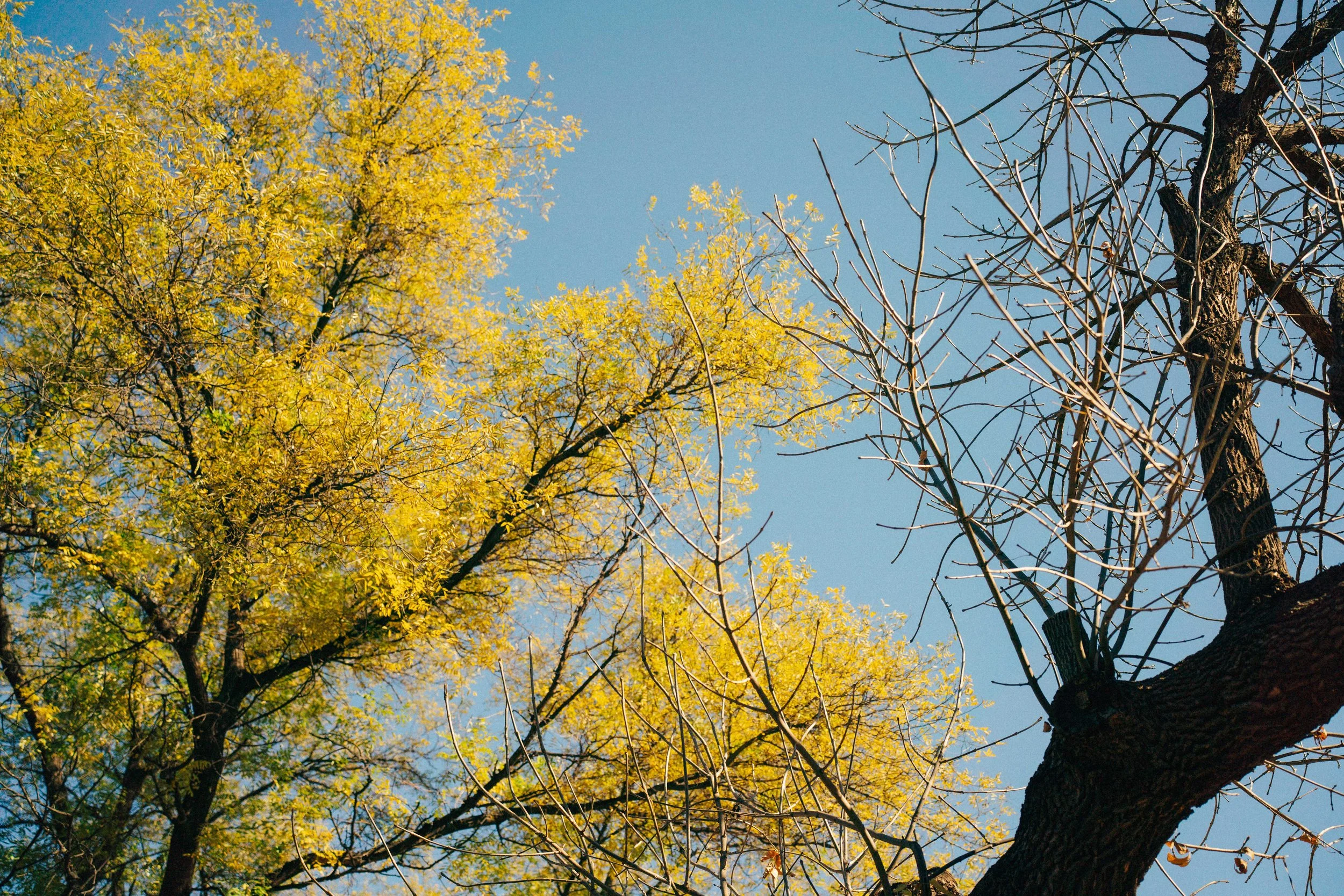 TIN-03995.jpg