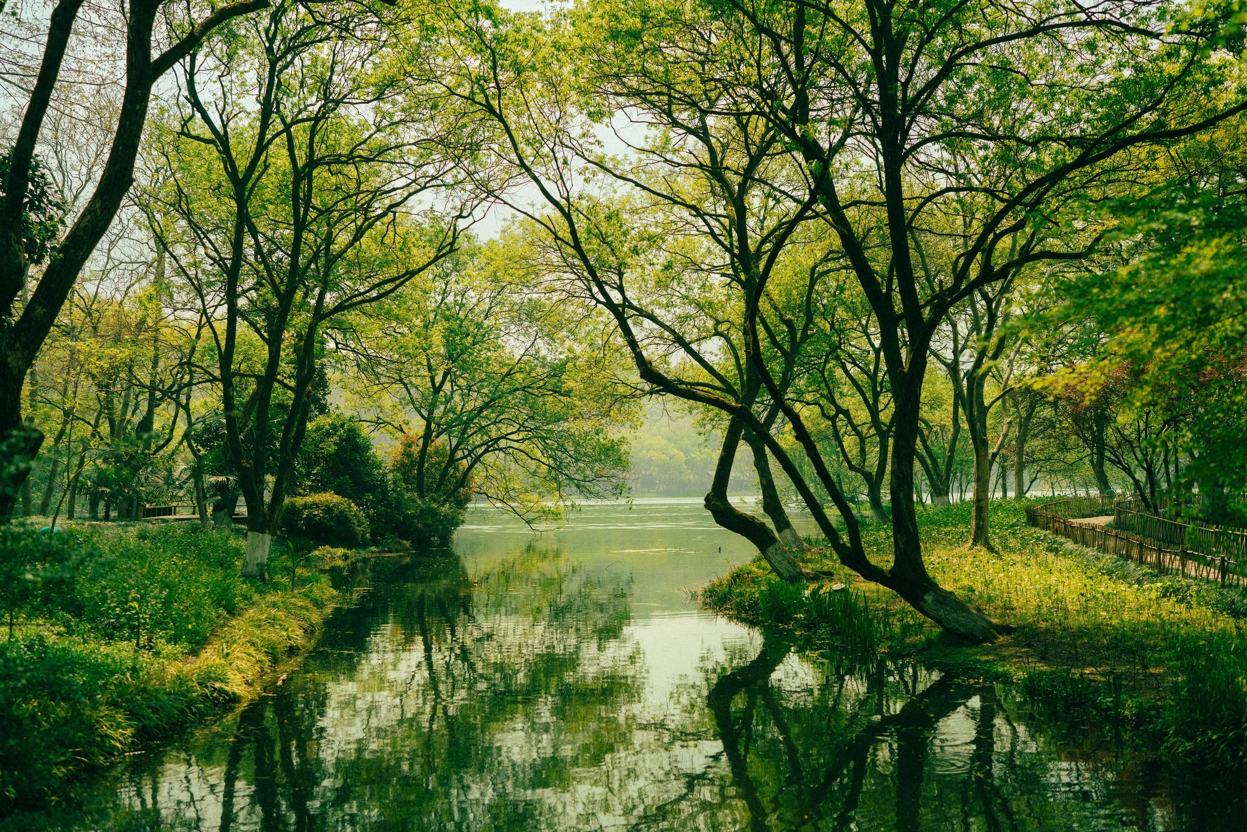 Reflections on West Lake, Hangzhou