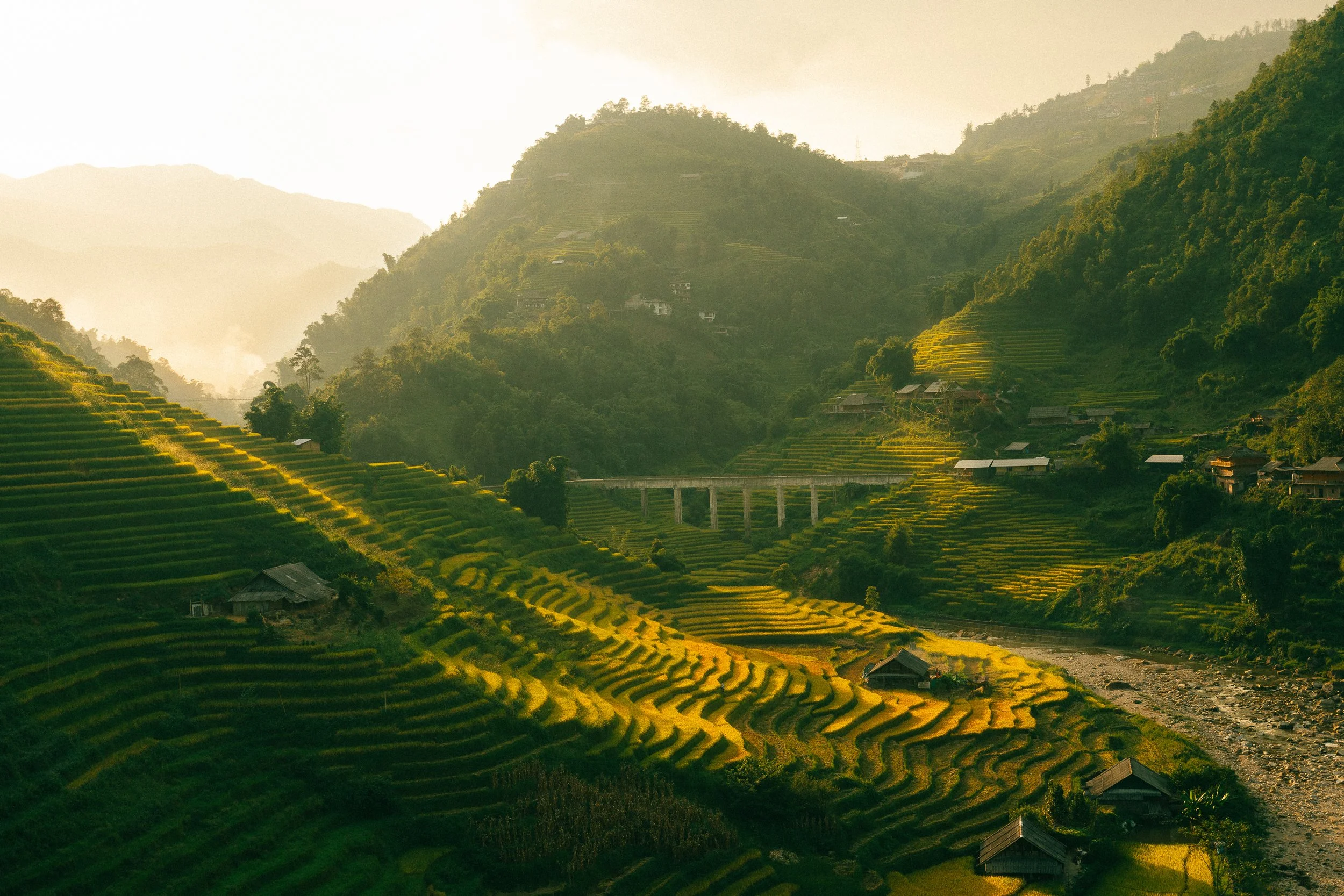 Sunset on rice paddy fields at Lao Chai, Vietnam
