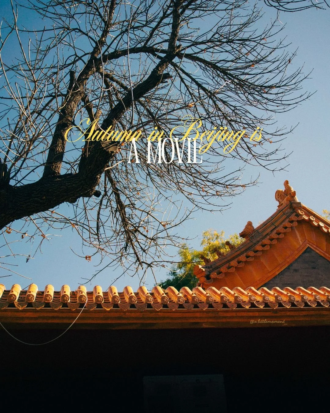 A leafless tree with dark branches extends across a clear blue sky, with the corner of a traditional Chinese-style building with orange roof tiles visible in the lower right. Overlay text reads "Autumn in Beijing is a move."