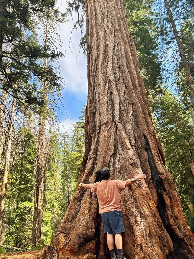 Jordan Crosby grief therapist in West seattle at the west seattle center for grief, loss, and transition standing in front of a giant redwood tree