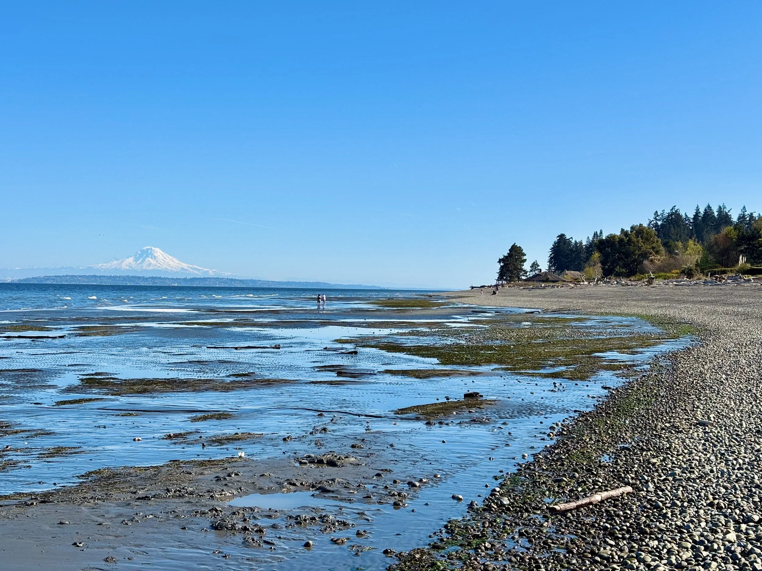 A view from Bainbridge island of mount rainier that evokes the peace that can come from the processing of loss and grief with grief therapy at the West Seattle Center for Grief, Loss, and Transition