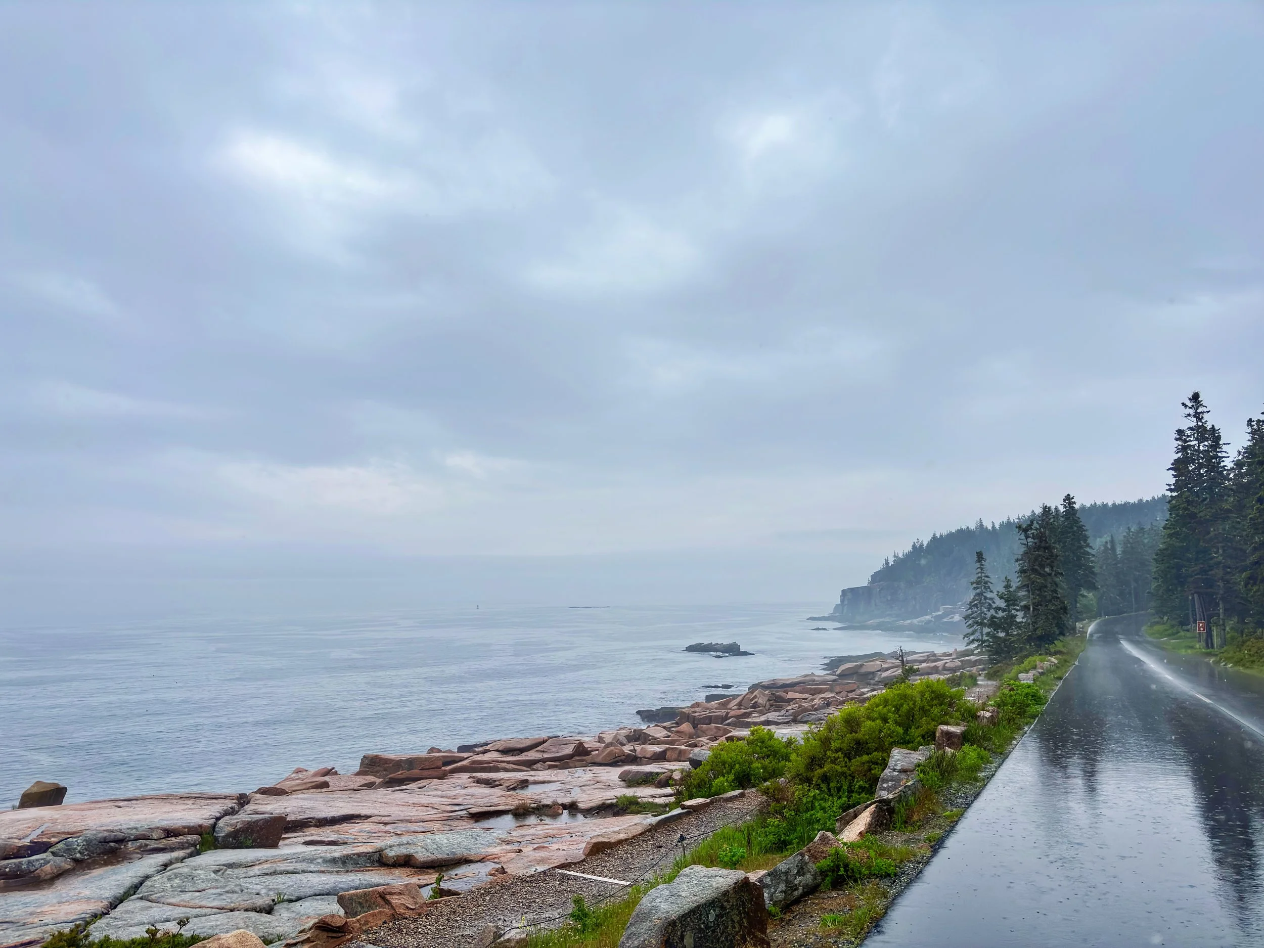a picture of acadia national park on a foggy, rainy day that evokes the feelings of depression and overwhelm that come with grief in seattle and washington state