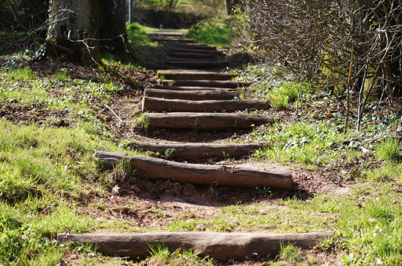 A path moving forward, symbolizing taking the first steps in grief, loss, and transition therapy in seattle