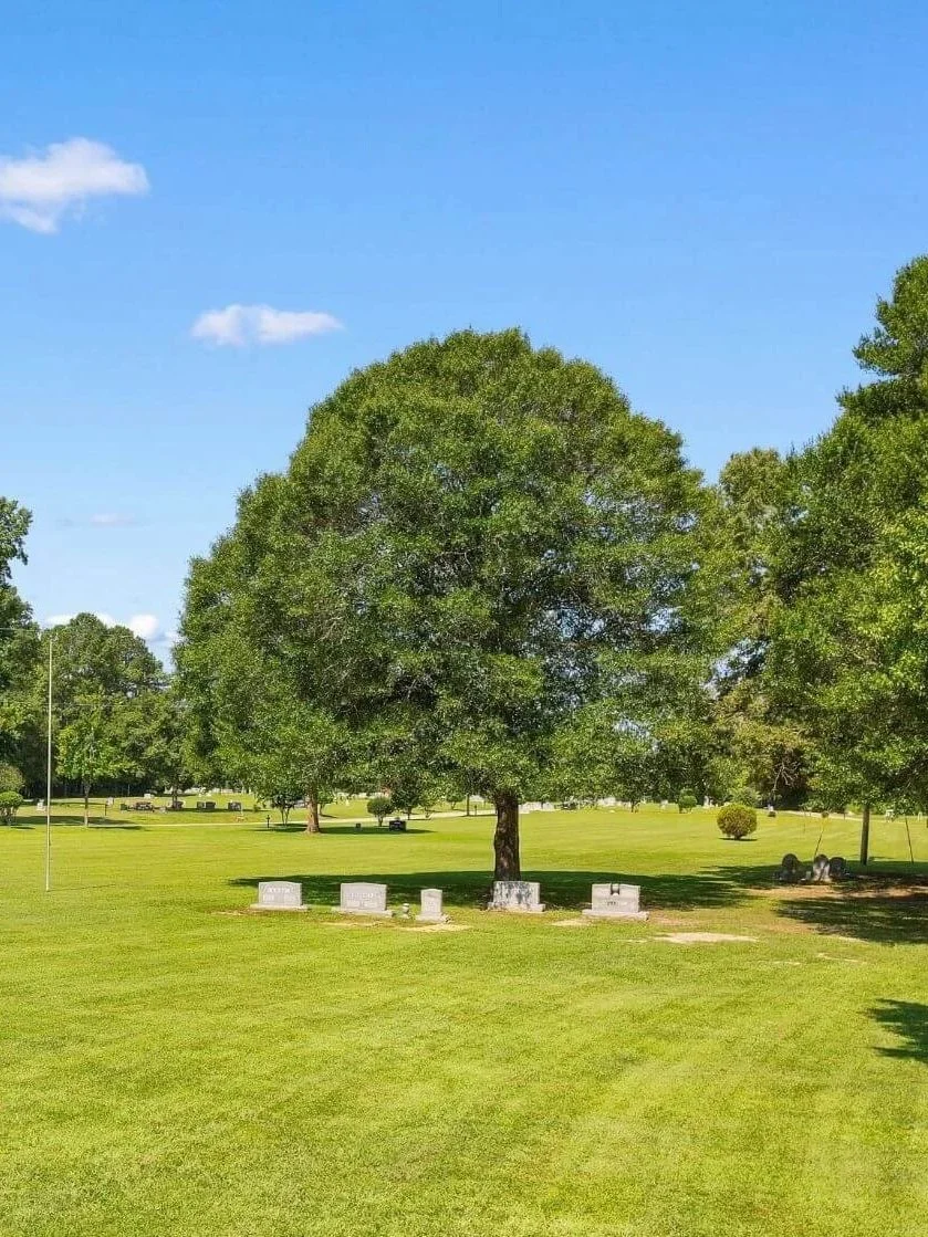 A large green tree in a park with a row of gray headstones in the foreground, surrounded by neatly mowed grass and additional trees in the background under a blue sky with a few clouds.