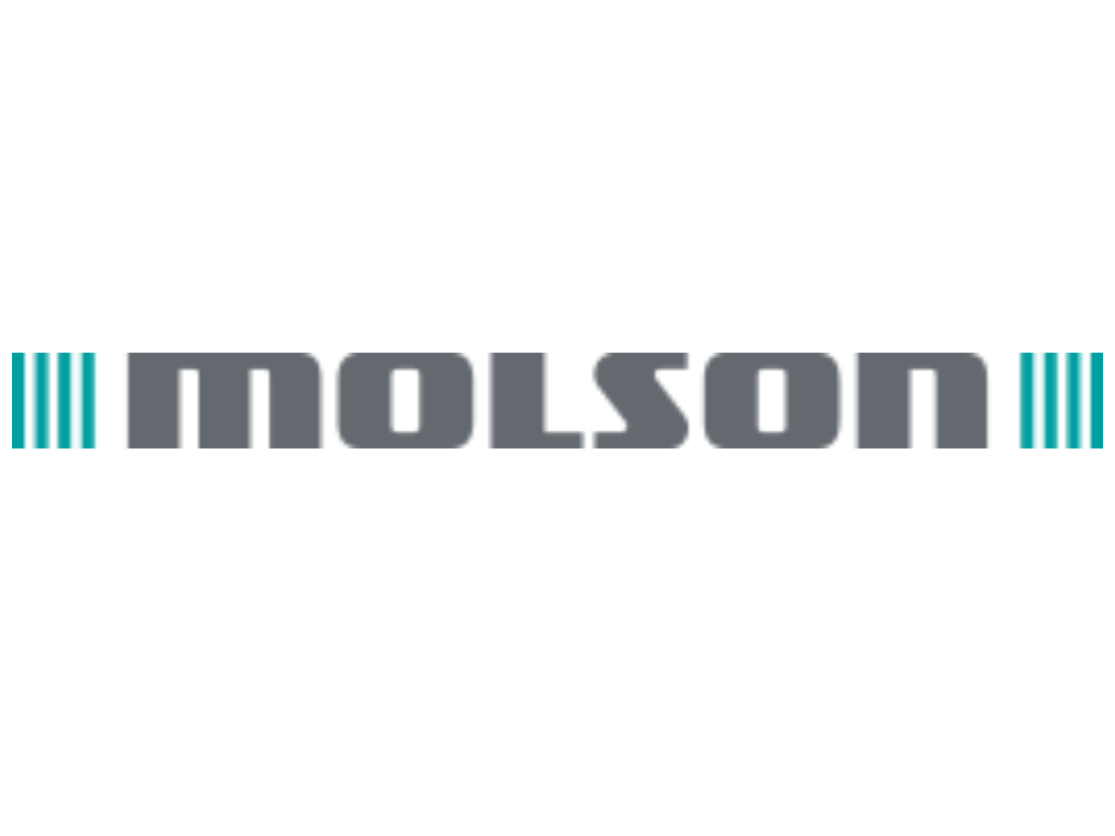 Close-up of a logo with the word 'MOLSON' in gray font and teal stripes on both ends of the text.