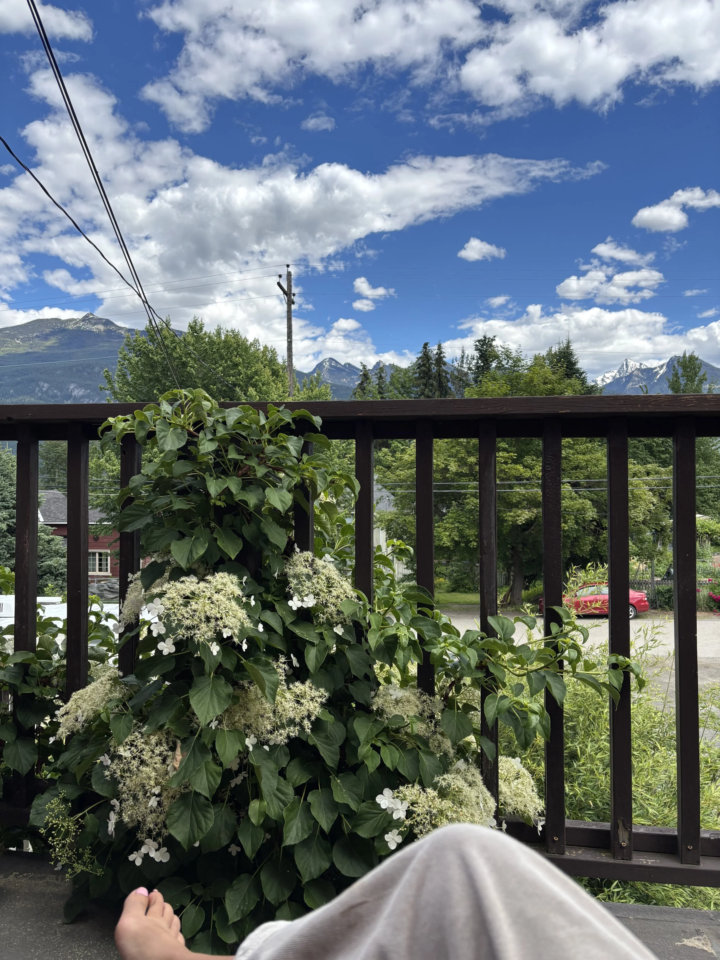 Studio View.jpg