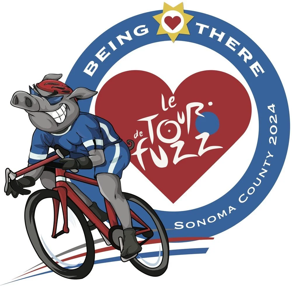 Tour de Fuzz