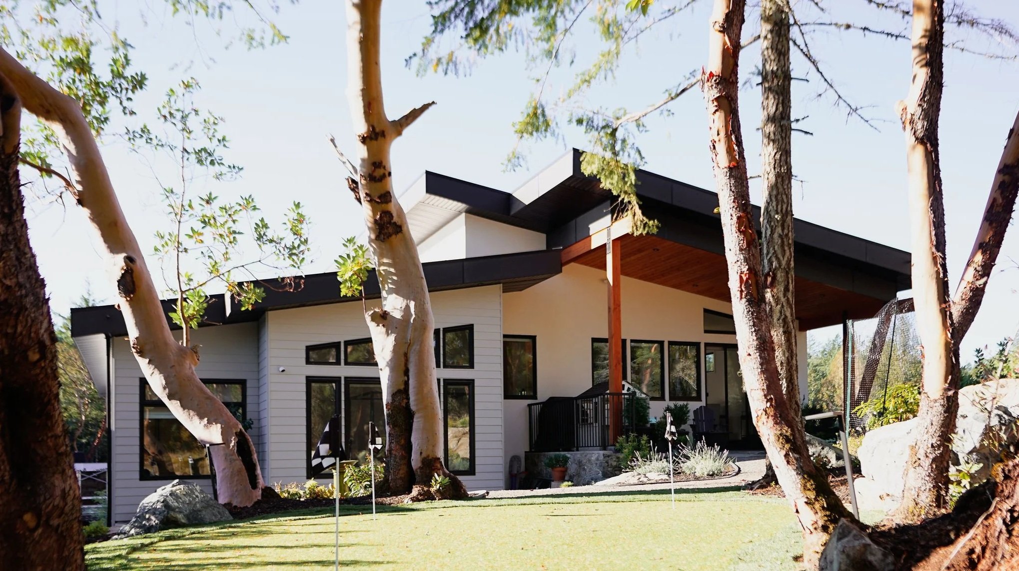 Modern house with large windows, surrounded by trees with white bark, situated on a lawn with rocks and small plants.