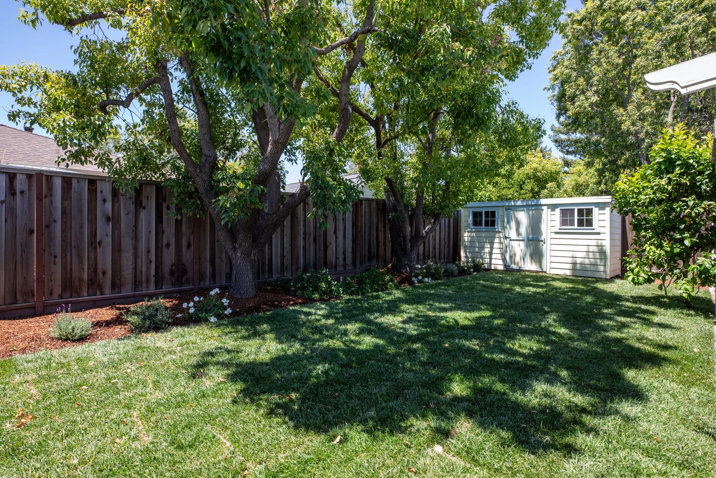 A backyard scene with a wooden fence, a large tree with green leaves, a garden bed with flowers, and a small white shed, under a clear blue sky.