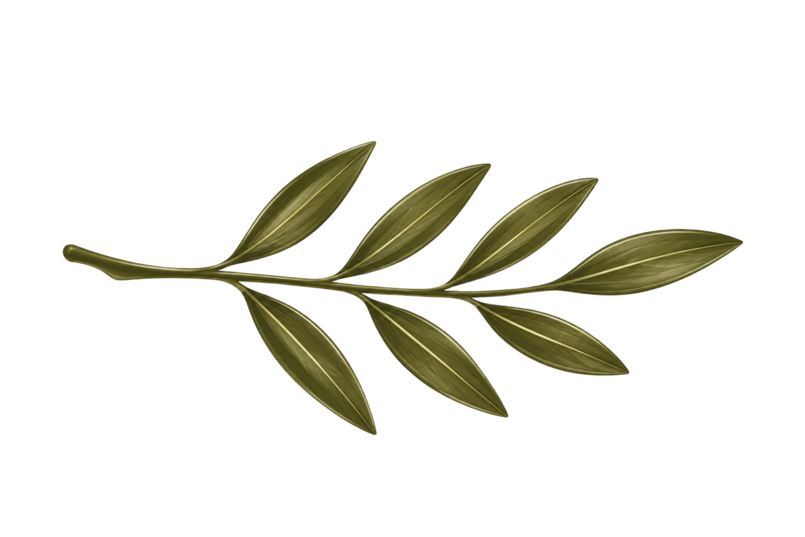 Digital illustration of an olive branch with green leaves.