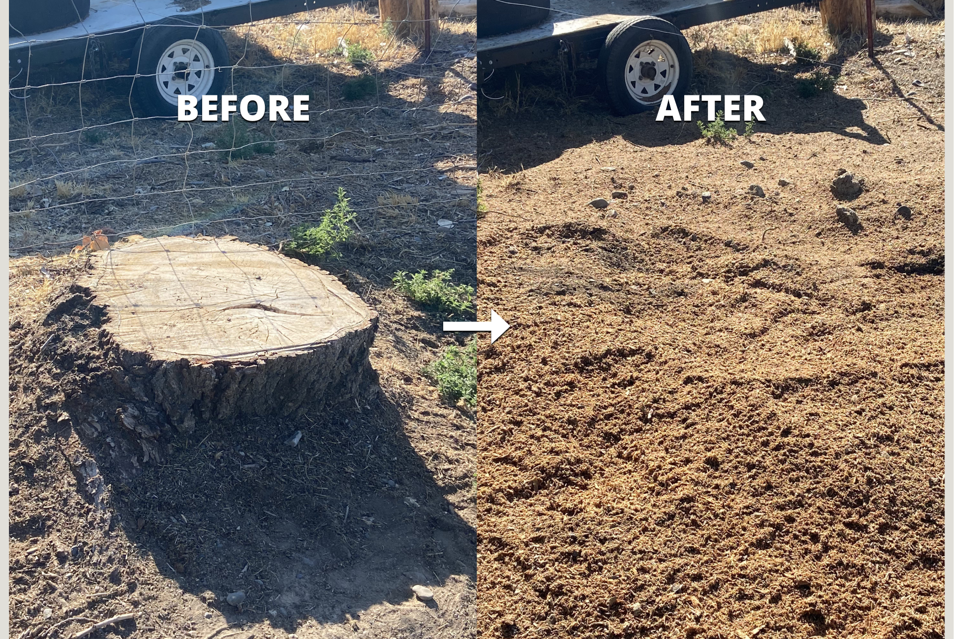Side-by-side comparison of a dirt patch before and after raking. The left shows a patch with a tree stump, dry soil, and a wire fence in the background. The right shows the same area after raking, appearing smooth and evenly covered with loose dirt.
