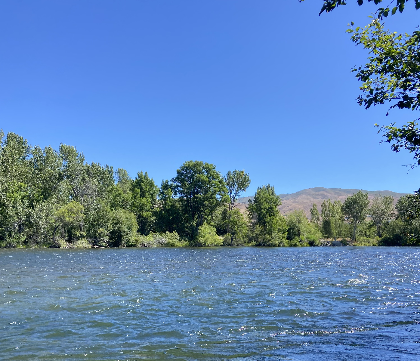 A river flowing through a lush green landscape with trees on both banks, under a clear blue sky, and a distant mountain in the background.