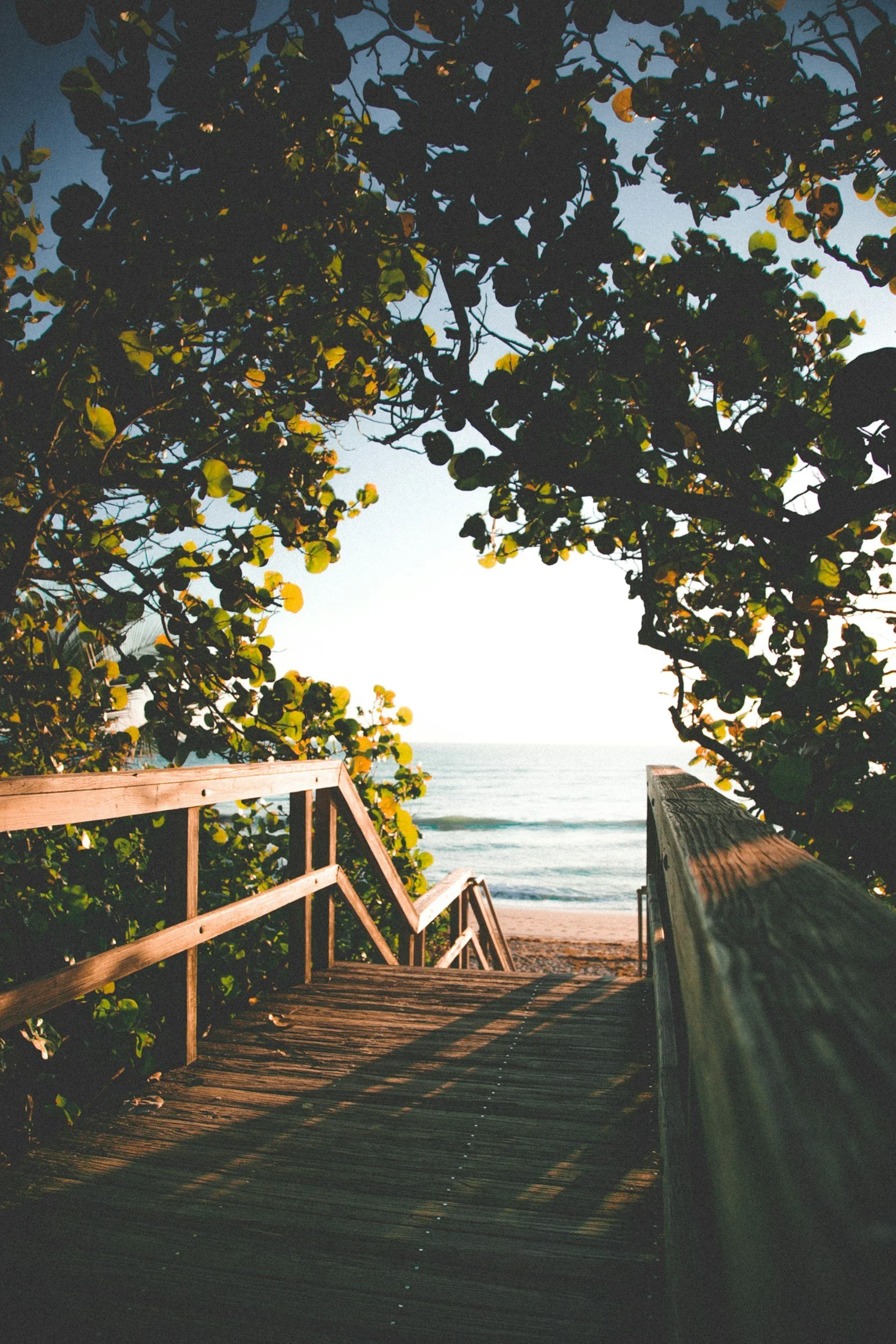 Wooden steps leading down to a beach, framed by leafy tree branches with sunlight filtering through, overlooking the ocean. Whether entering or exiting, the threshold holds what was, what is and the path to what awaits.