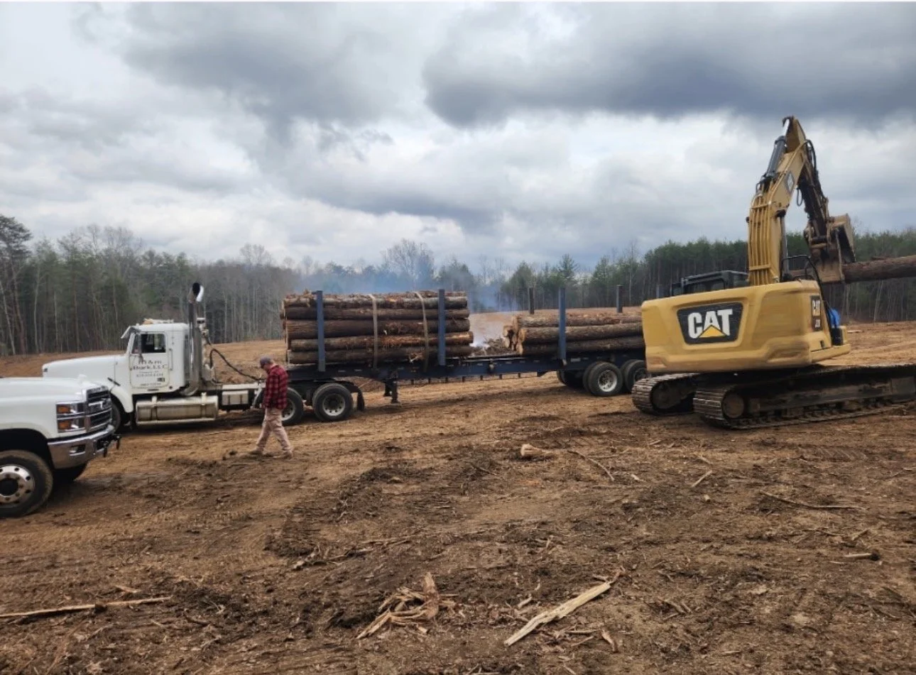A logging site with a white semi-truck hauling logs and a yellow CAT excavator loading logs onto the truck. A person in a red checkered shirt and beige pants is walking nearby on muddy ground. Overcast sky overhead.