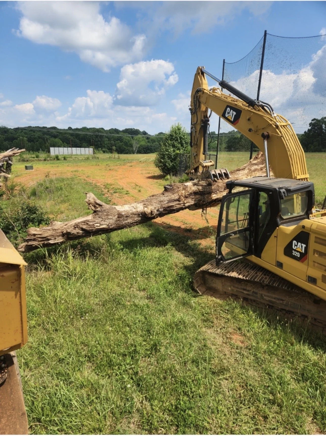 Construction equipment cutting and removing a fallen tree in a grassy field.