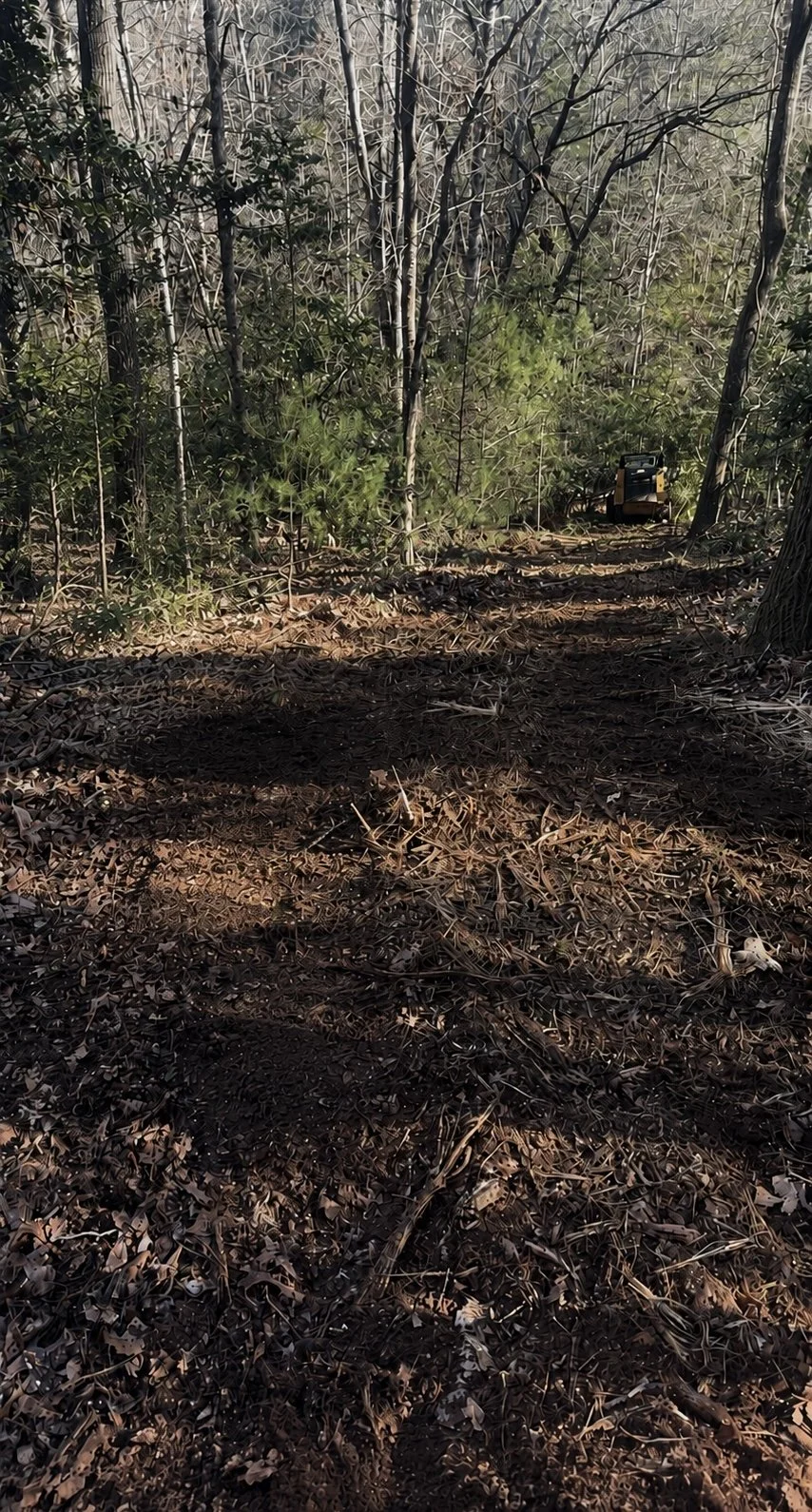 A forest trail with burnt ground and sparse green vegetation, a small piece of equipment can be seen in the distance among tall trees with leafless branches.