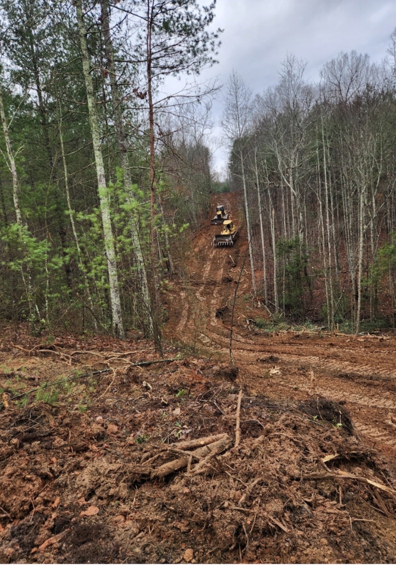 Construction vehicles working on a dirt road in a forest with trees on both sides.