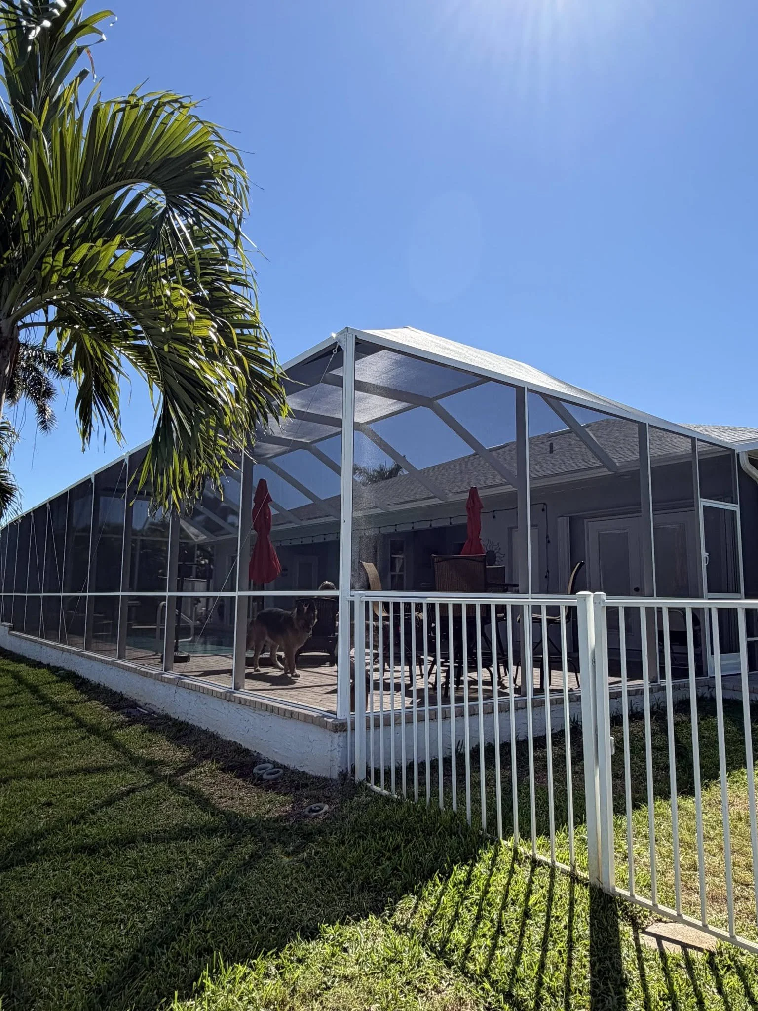 After restoration white cage.jpg