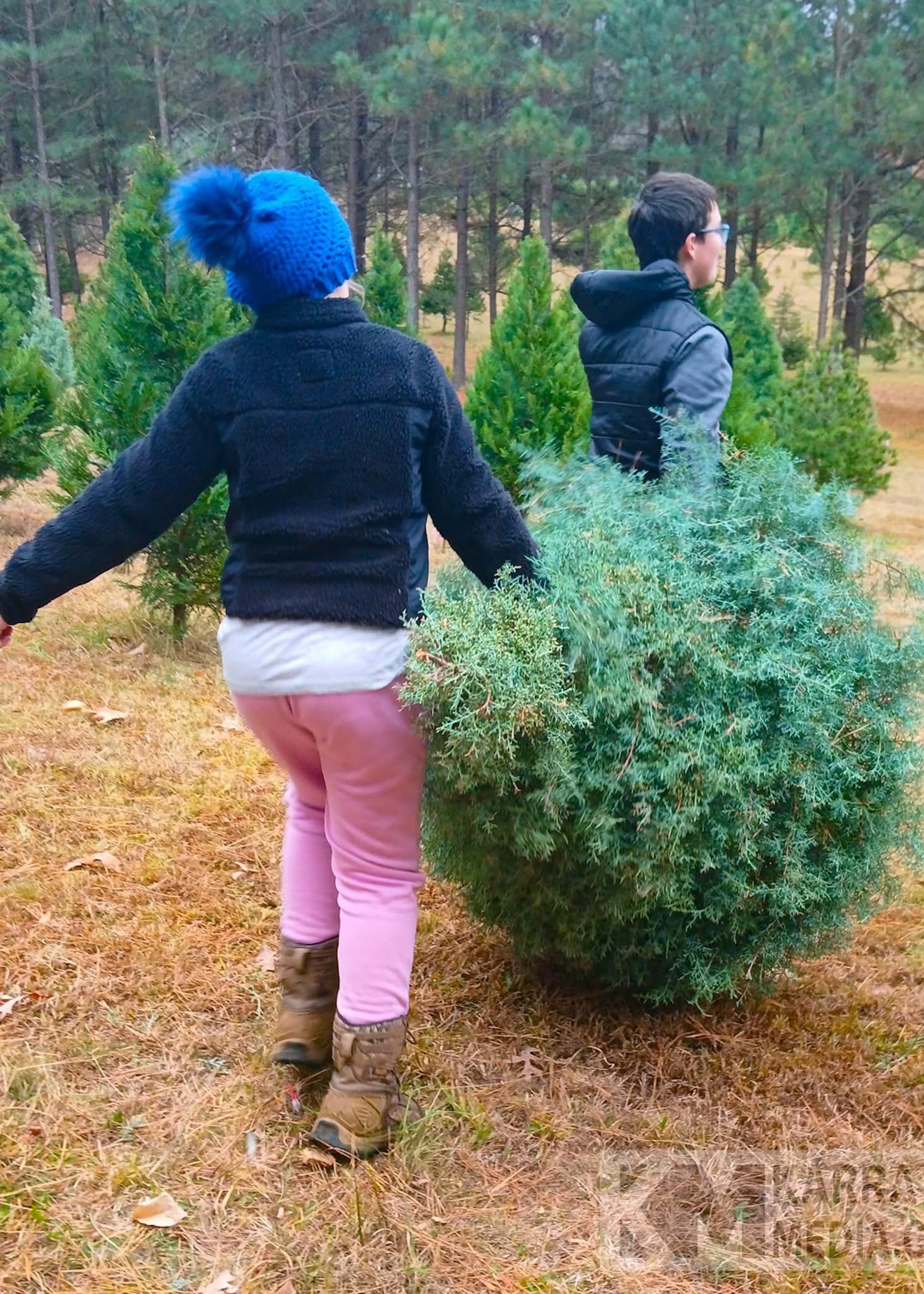 Nuckols Tree Farm Virginia