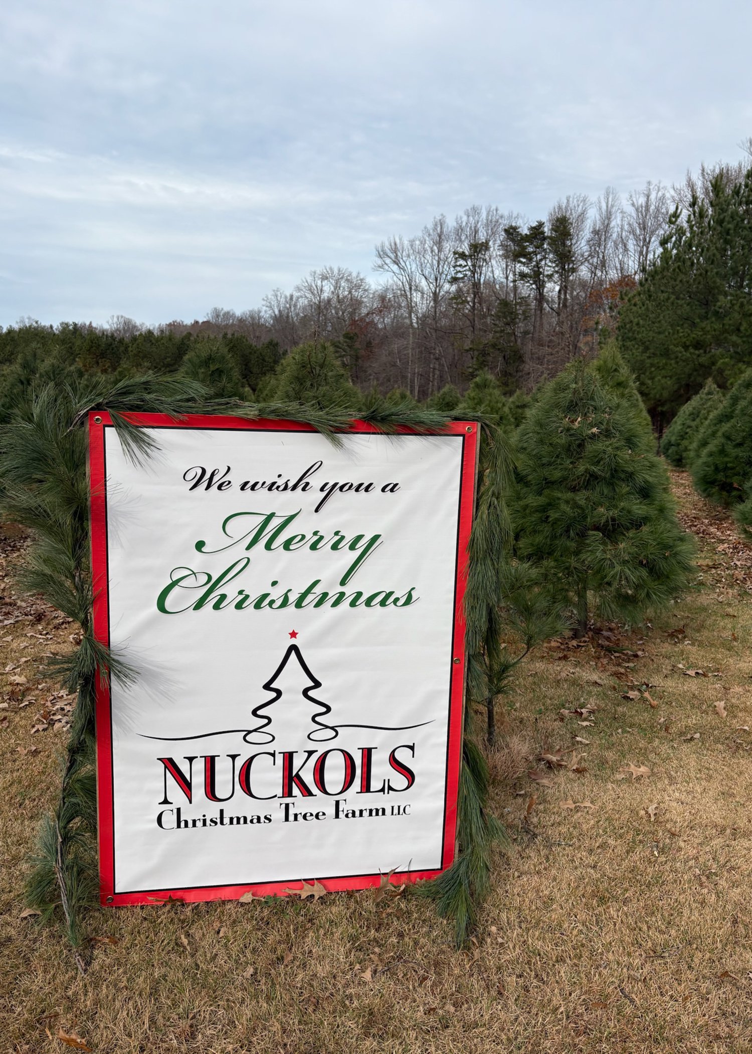 Nuckols Tree Farm Virginia