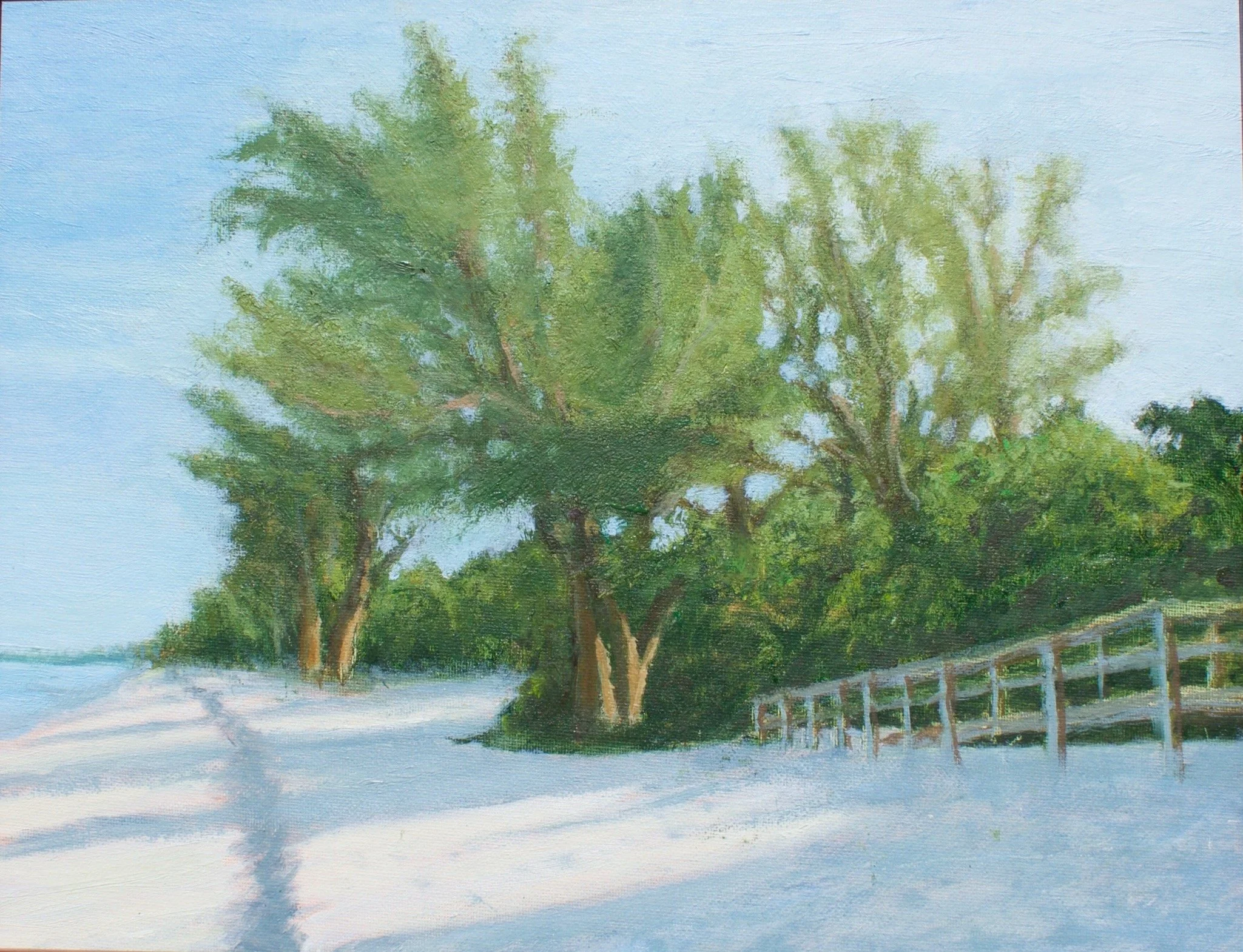 Morning Light at the State Park