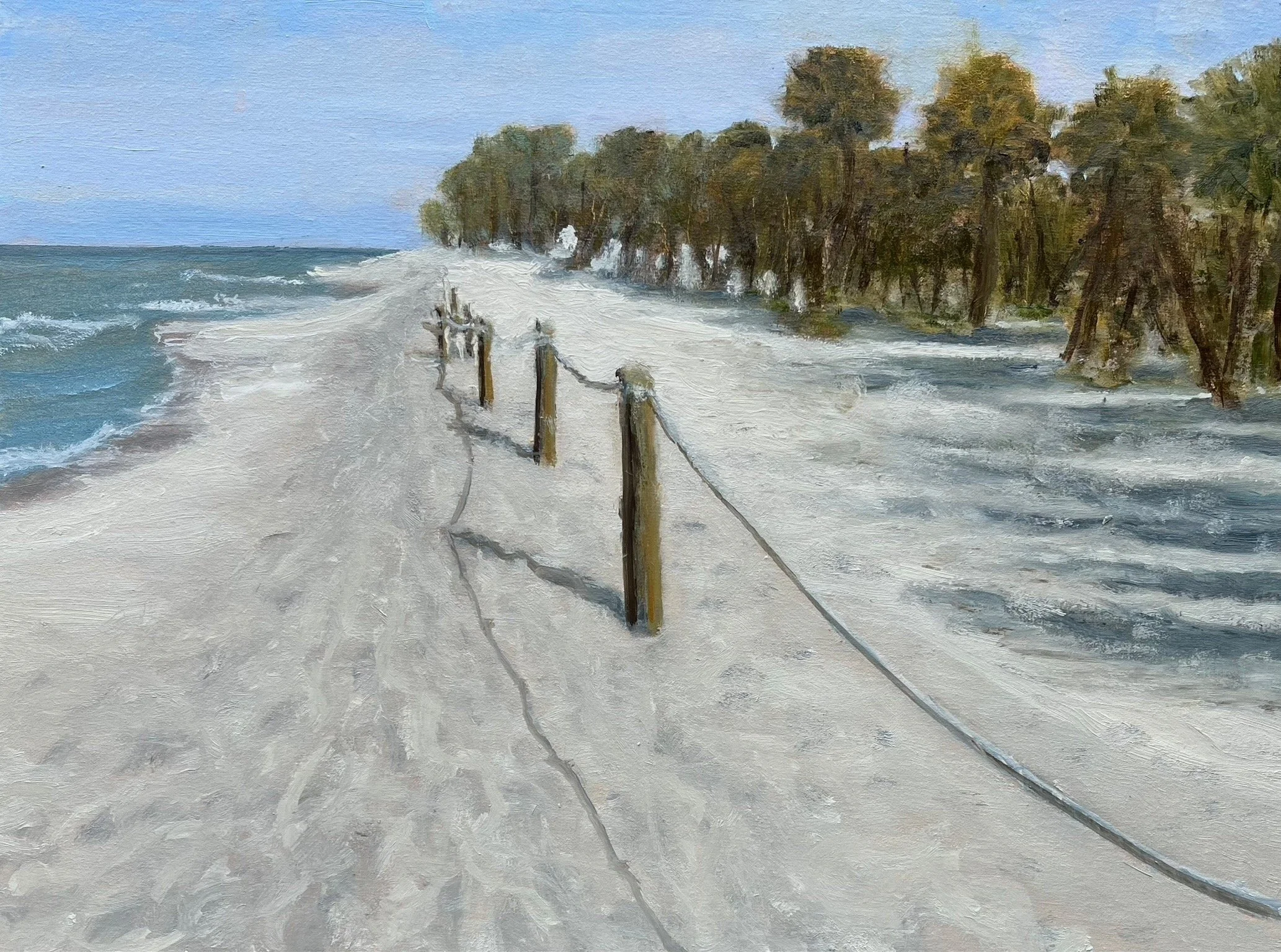 A Walk on the Beach