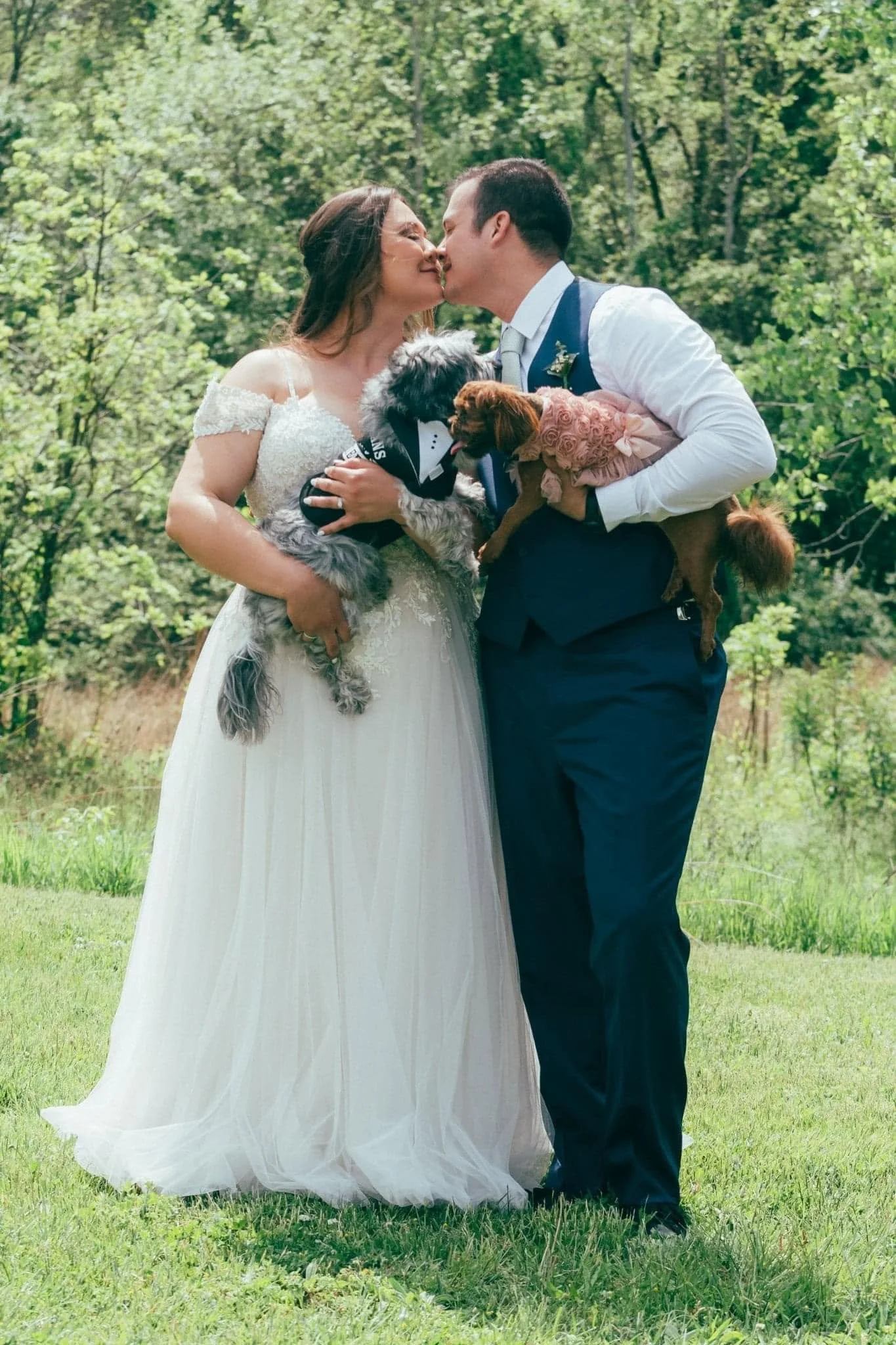 A couple dressed in wedding attire sharing a kiss outdoors, holding their pet dogs, with greenery in the background.