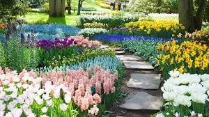 Colorful garden with blooming tulips, daffodils, and hyacinths along a stone pathway surrounded by lush green trees.