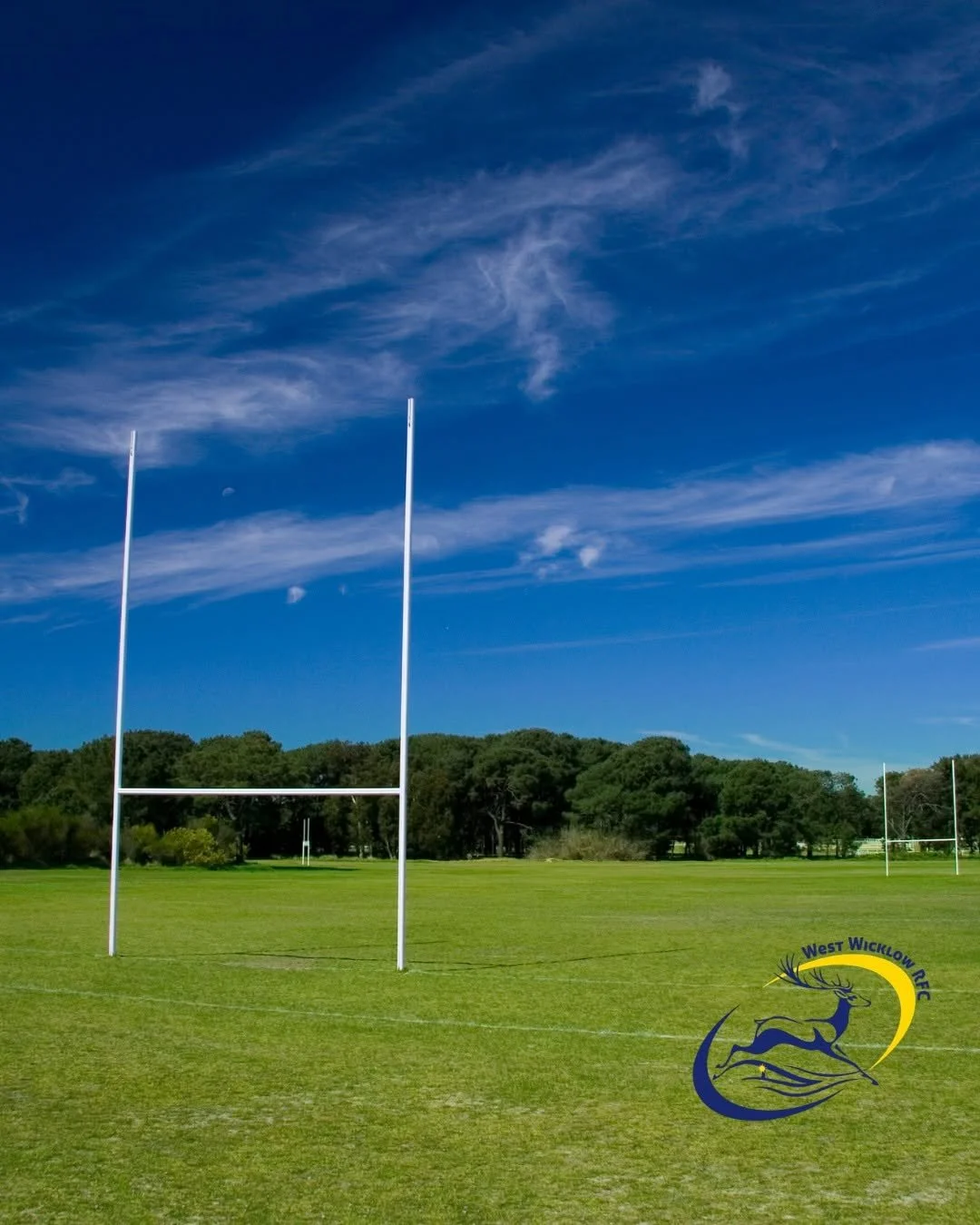West Wicklow RFC is looking to purchase land (approx. 8+acres) in the local area. 

If you can help us find a site, please contact 045 832833 or email info@westwicklowrfc.com in strict confidence. 

#westwicklowrfc #rugbycommunity