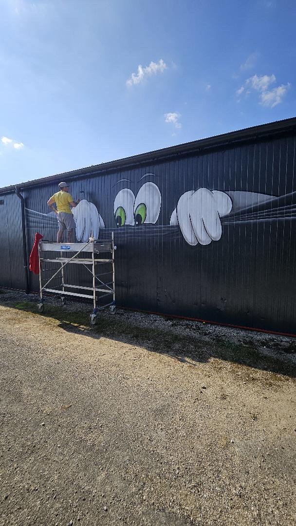PEGAZ | Artiste muraliste à DIJON