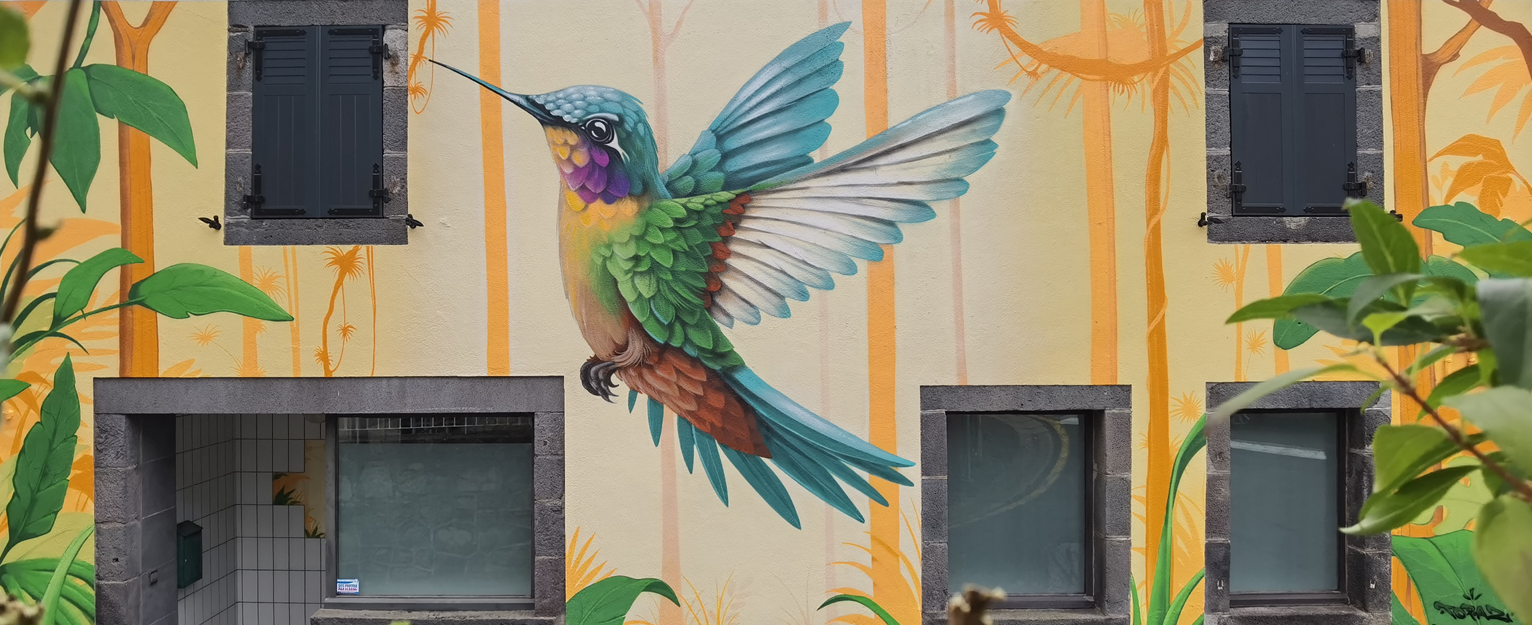 panorama+colibri.png