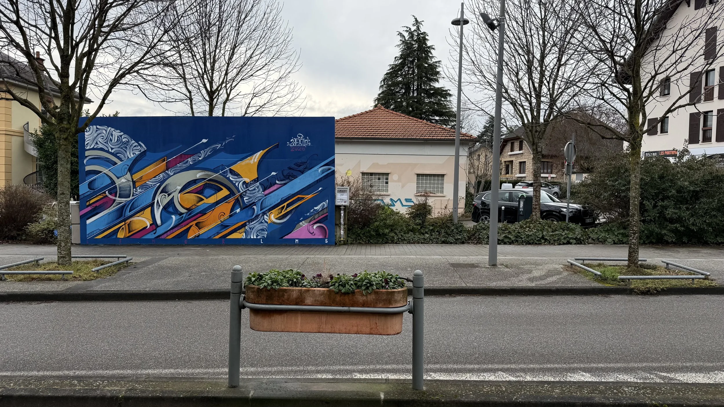 IMG_2300.jpeg