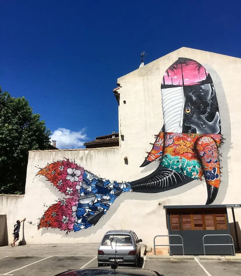 1seckte | Artiste muraliste à Nîmes