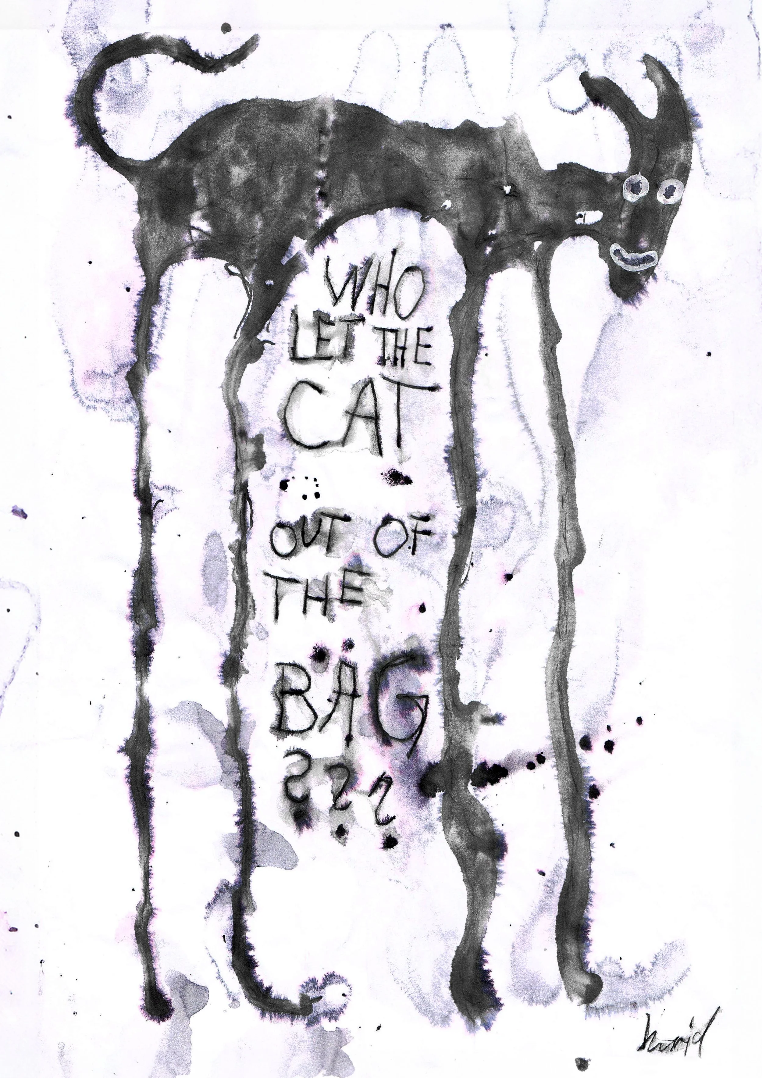Who let the cat out of the bag?