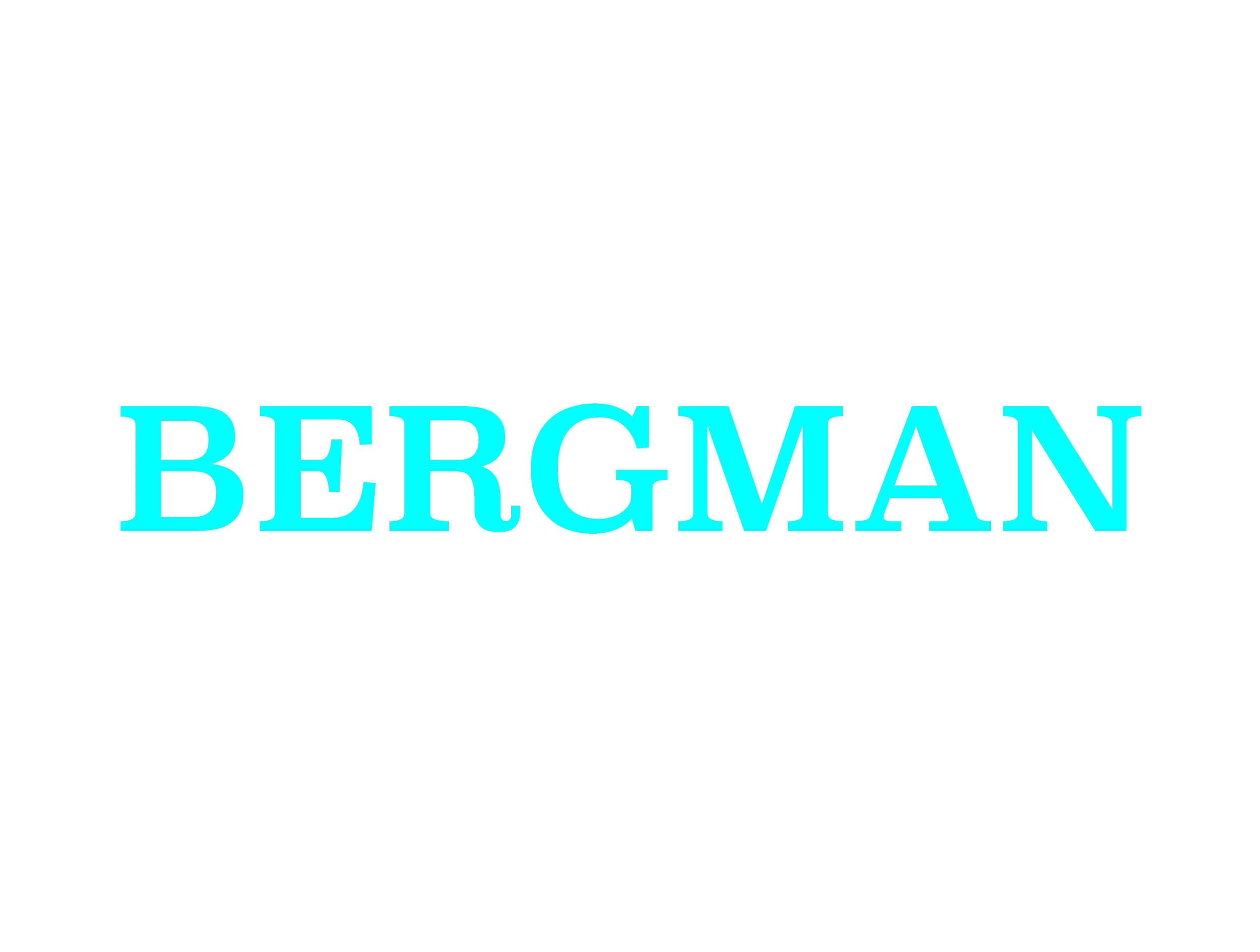 Bergman header serif font