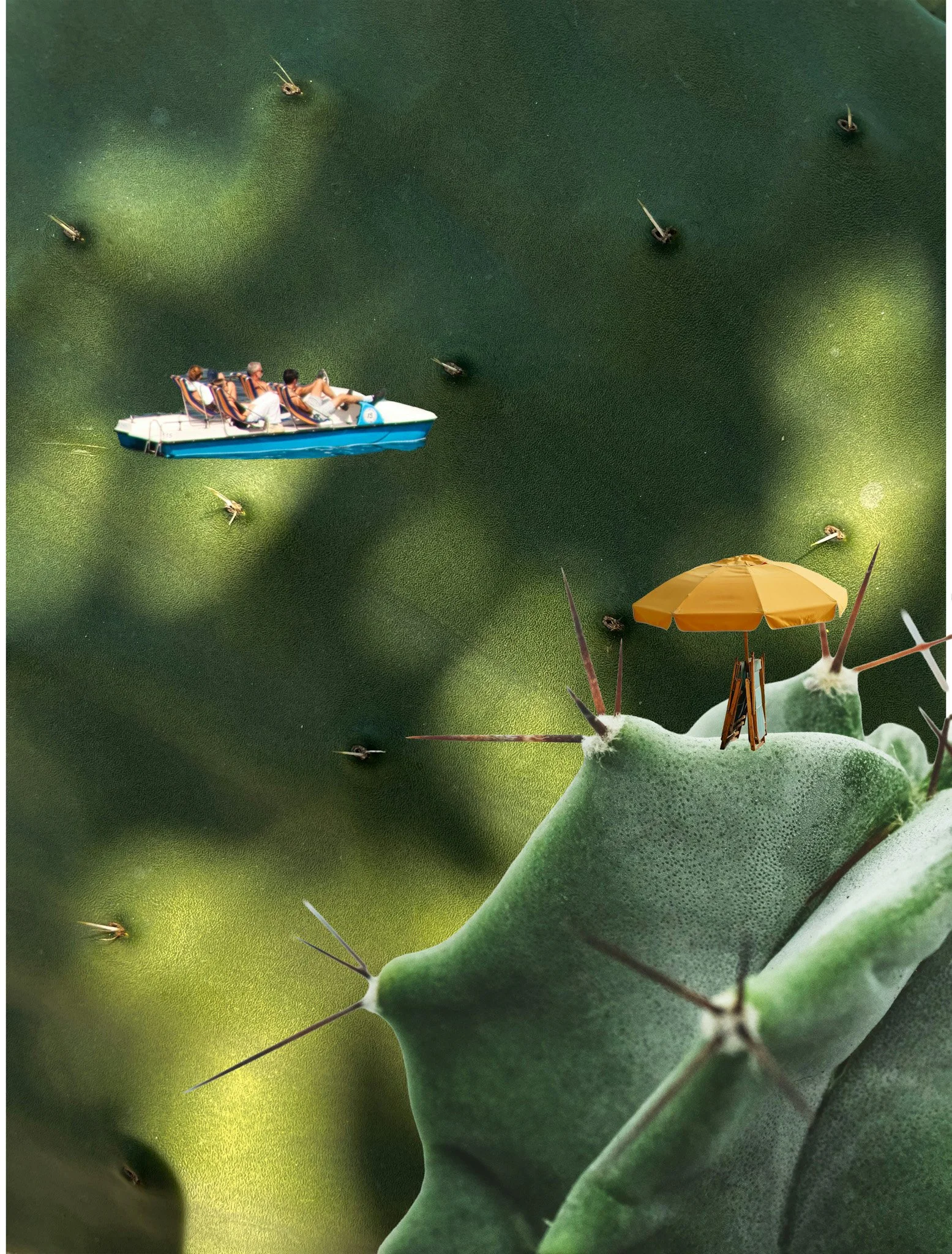 ambibalance-5.jpg