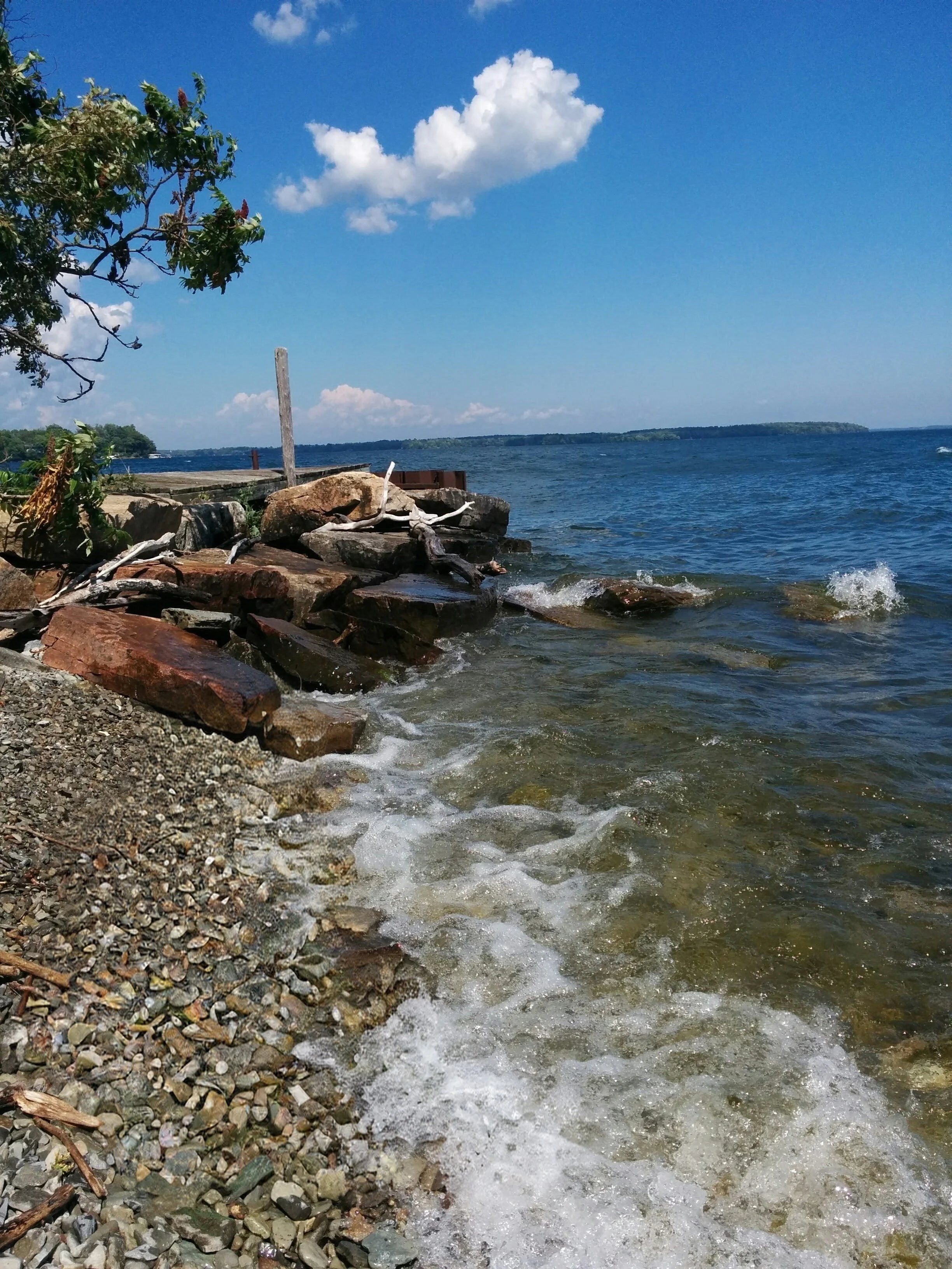 A rocky shoreline along a body of water with a blue sky and white clouds above. There is a tree branch on the left side and some distant land across the water.