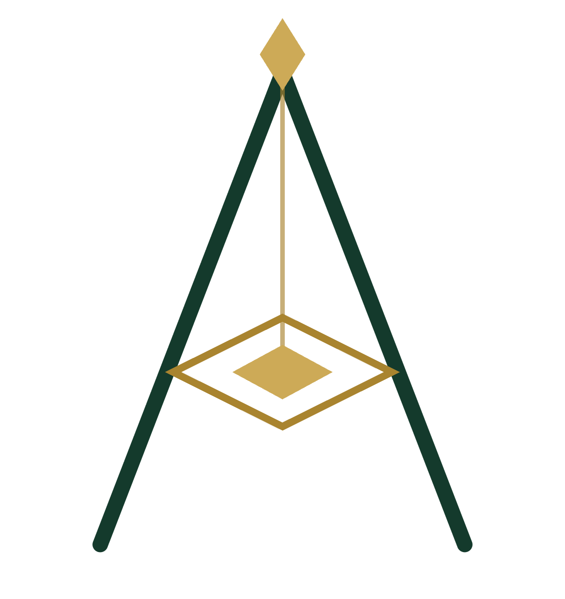 Aydin Capital Partners