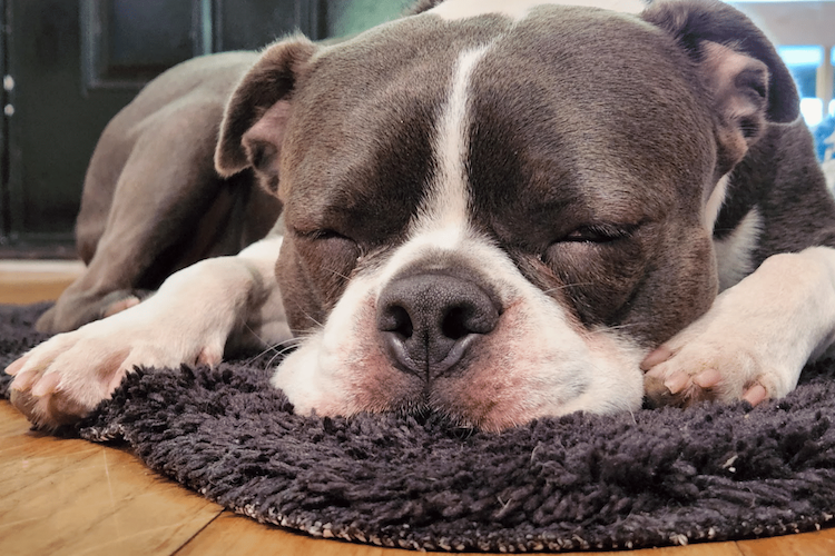 20 Books You Should Know About (and Cocoa Turns 2!)