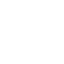 Icon - maple leaf