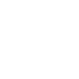 Icon - people