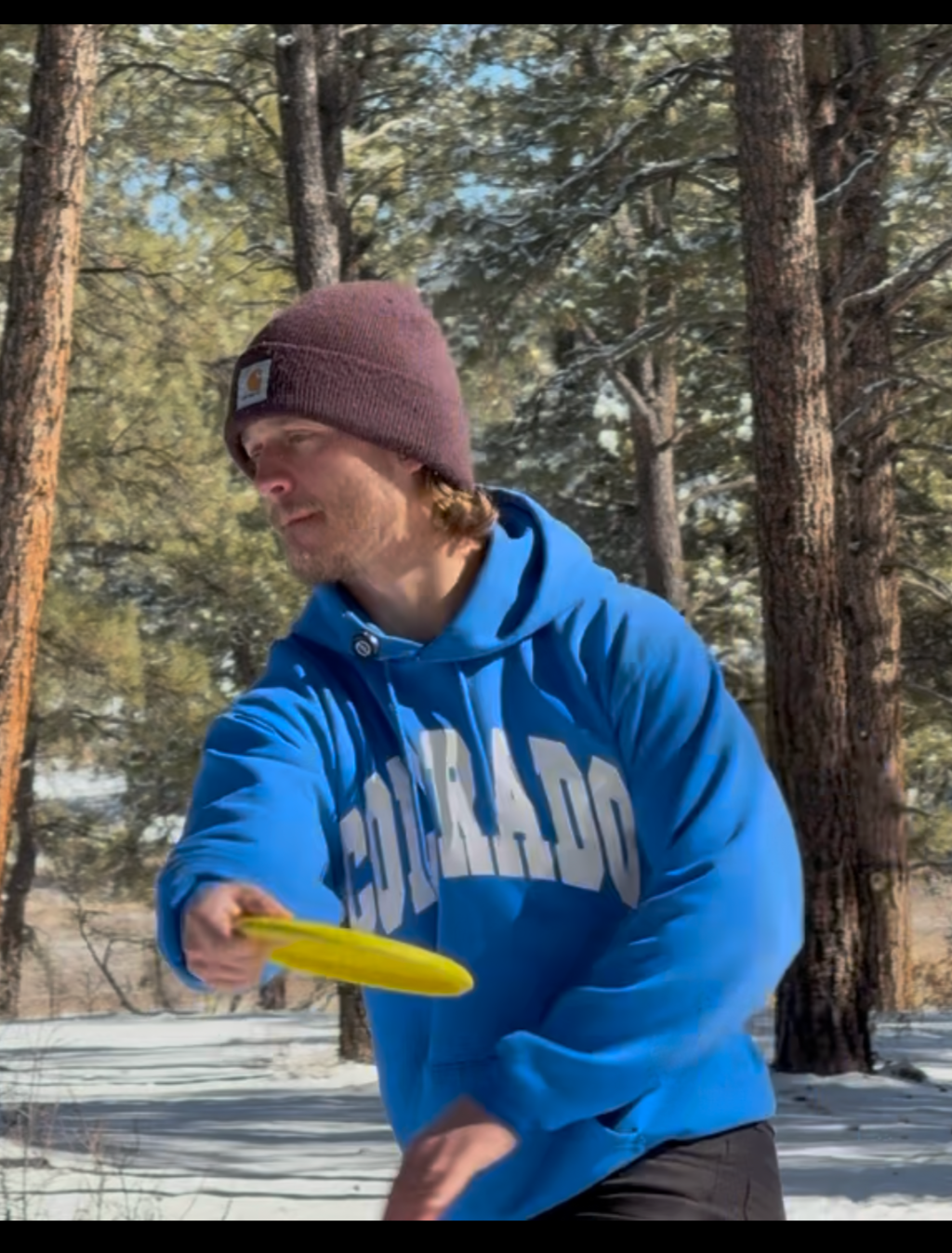 A man wearing a maroon Carhartt beanie and a blue hoodie with 'COLORADO' written on it, standing outdoors in a snowy forest with tall trees, holding a yellow disc.