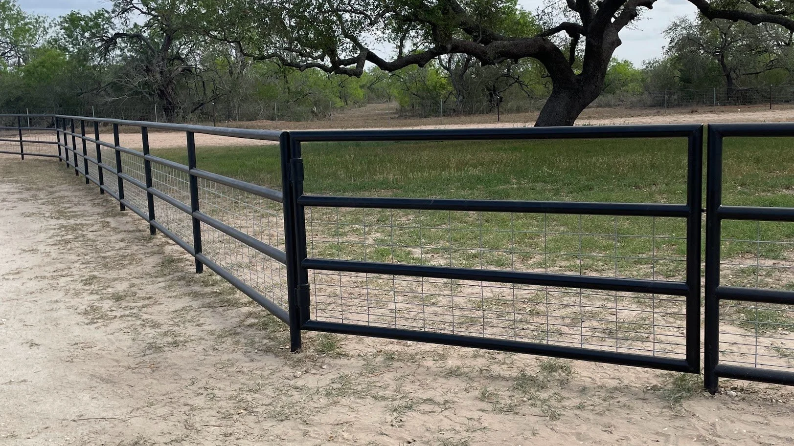 Black metal fence with wire panels in a rural outdoor setting, with a large leafless tree and green grass in the background.