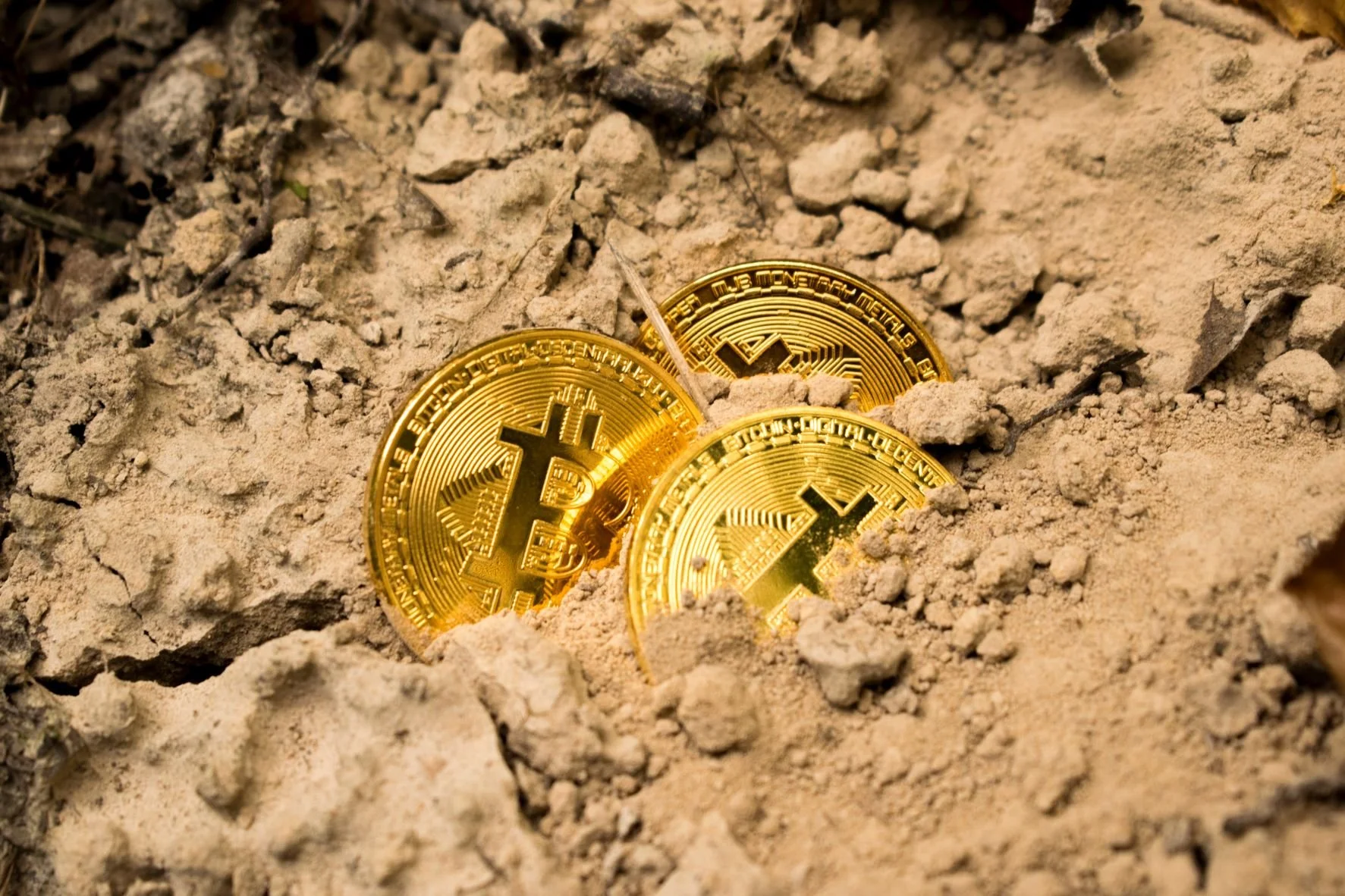 Mining for Treasure