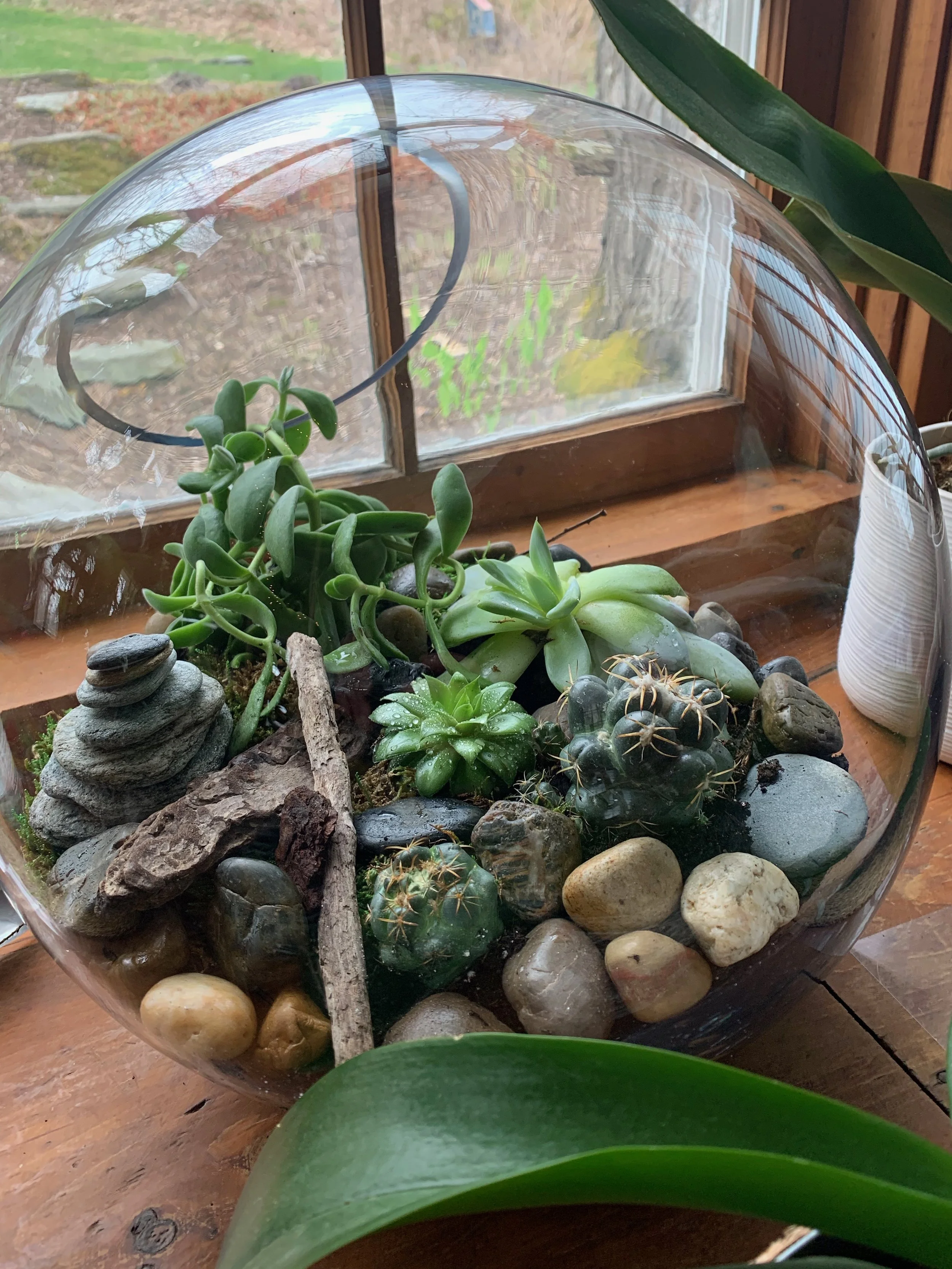 A glass terrarium with various succulents, rocks, and wood pieces inside, placed on a wooden surface near a window with green plants outside.