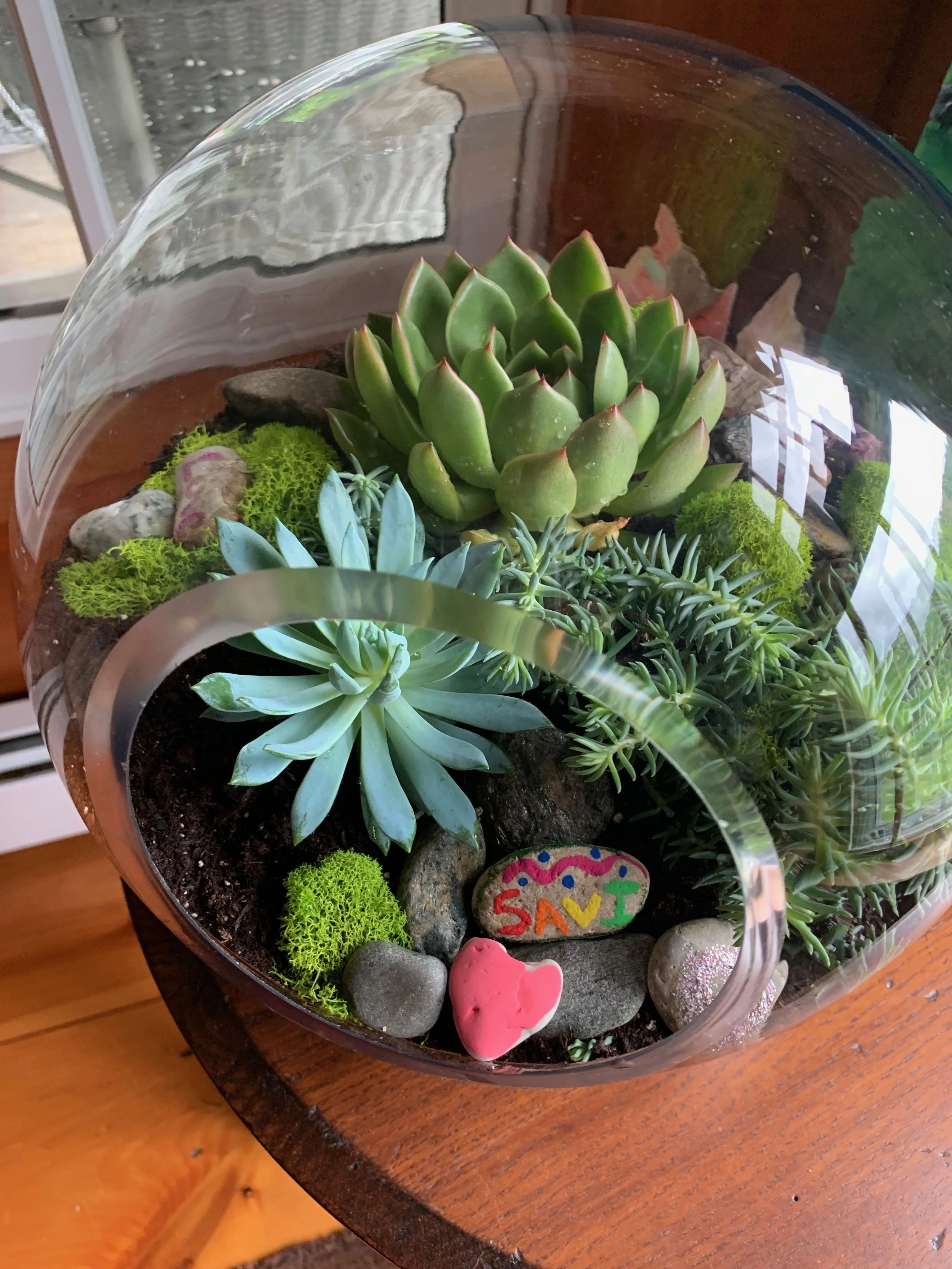 A glass terrarium filled with various succulents, small rocks, moss, and decorative painted rocks on soil. There is a colorful painted rock with the word 'SAVI' and a pink heart.