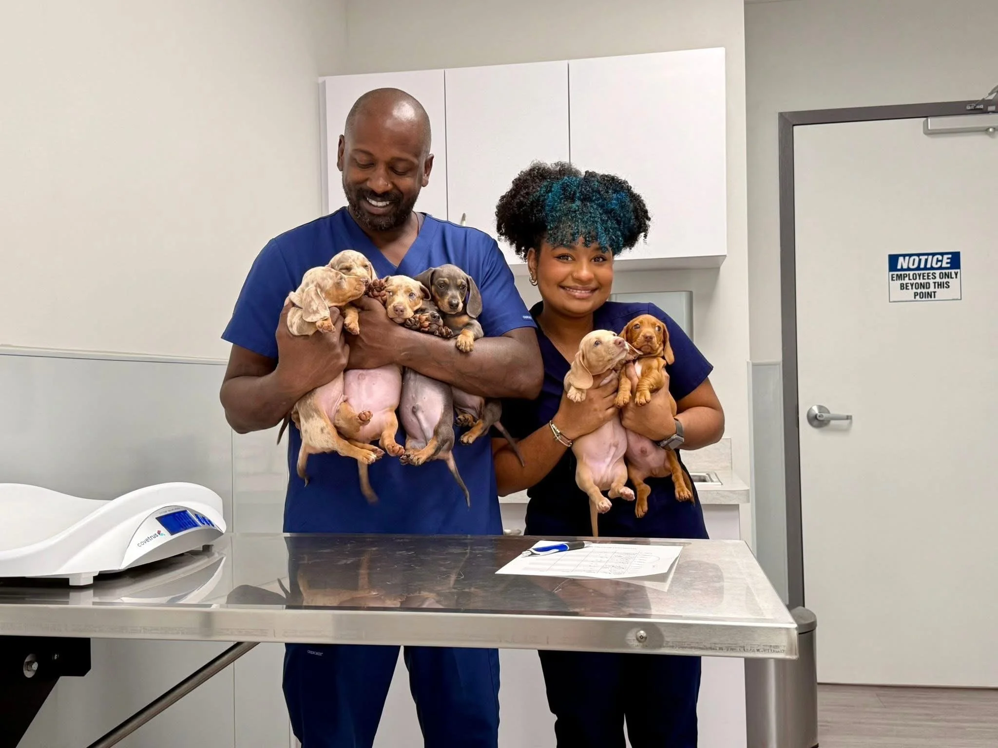 Two veterinary professionals, a man and a woman, holding adorable puppies in a veterinary clinic examination room. The man is smiling with his eyes closed, and the woman is smiling at the camera. There is a weighing scale on the counter and a notice on the door that says, 'Employees Only Beyond This Point'.