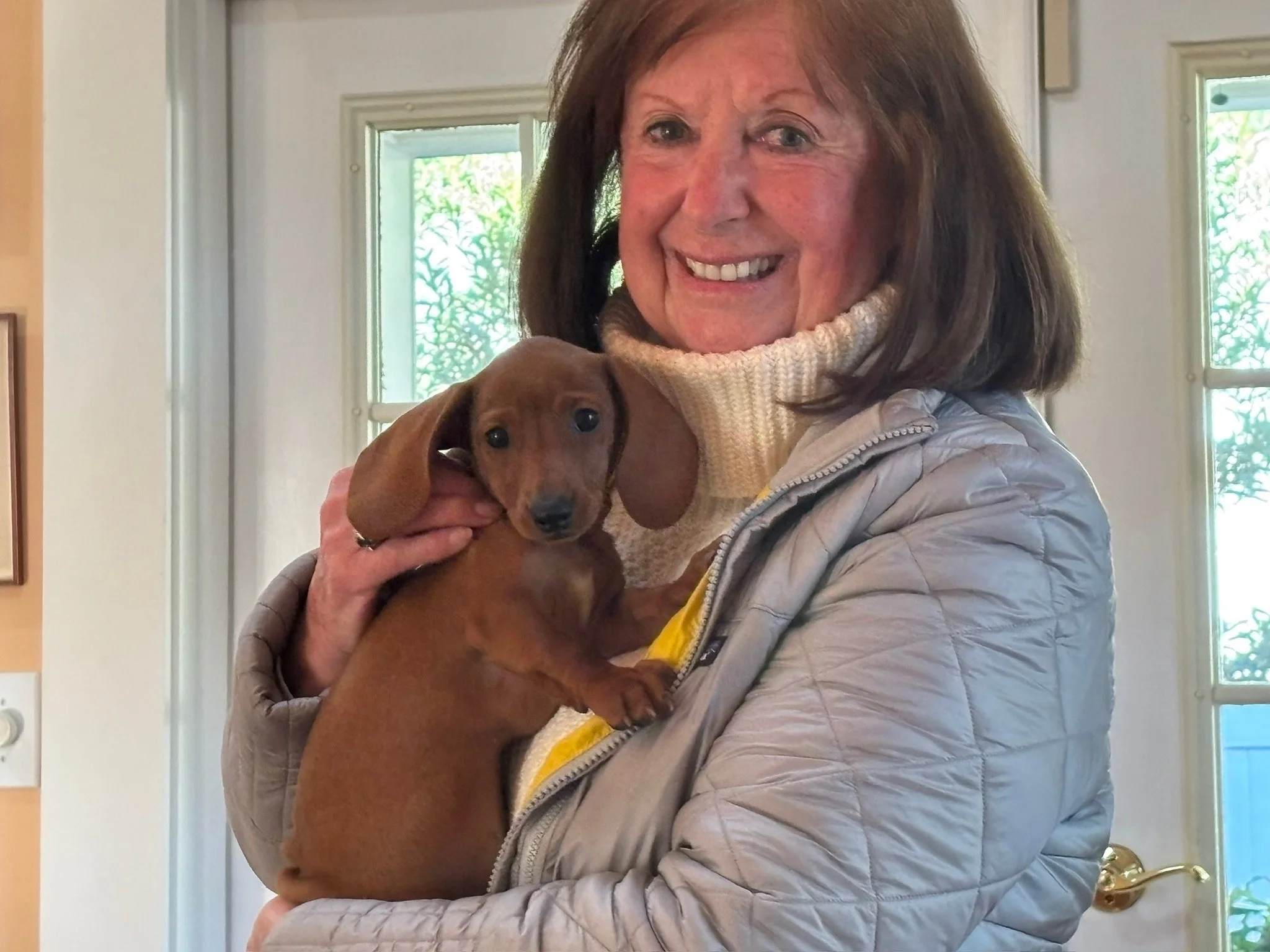A woman with brown hair holding a small brown puppy inside a house near a window.