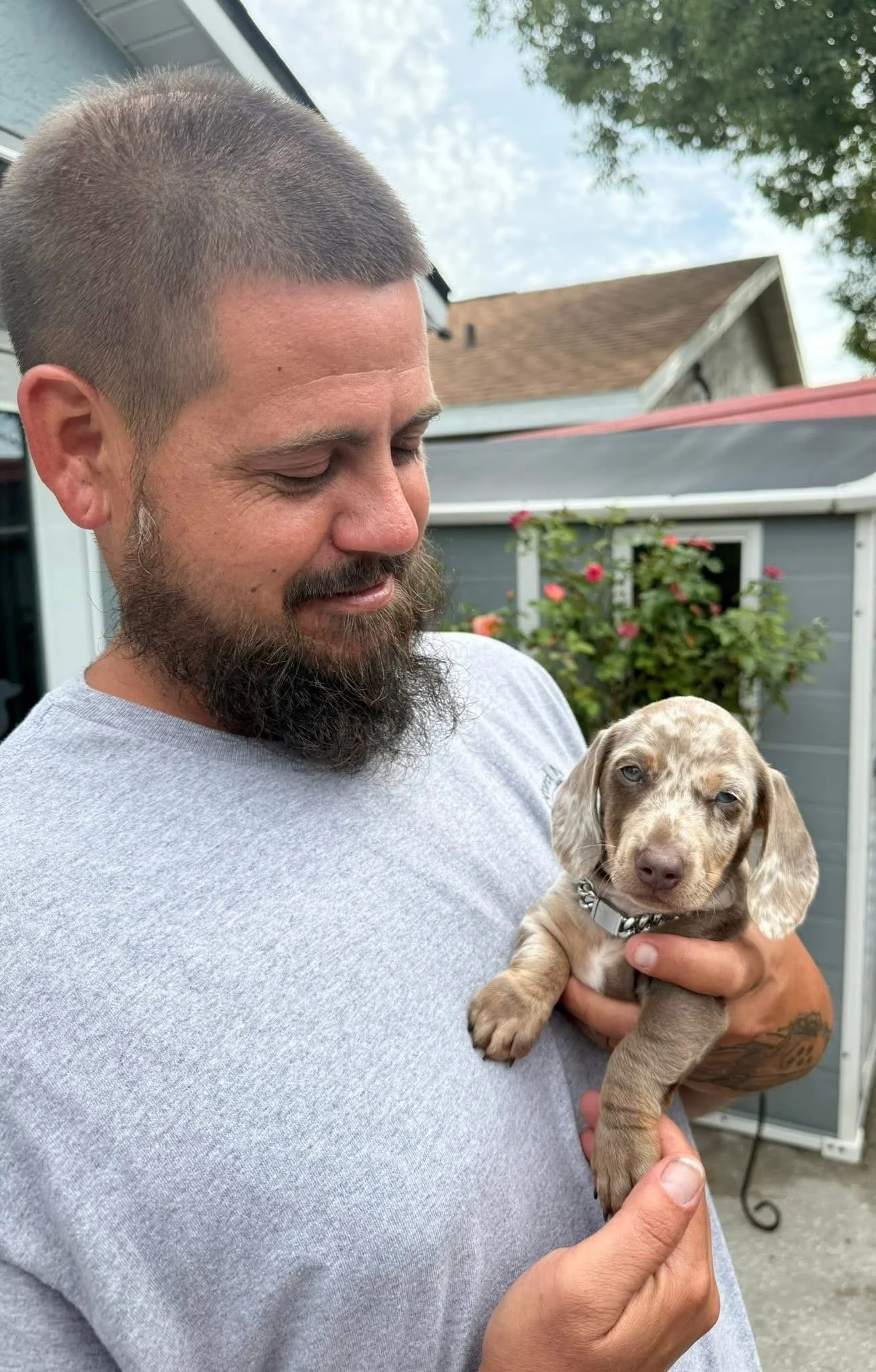 A man with a beard and mustache holding a puppy with a light brown and white spotted coat outdoors. The man is wearing a light gray shirt and standing in front of a house with a garden and trees.